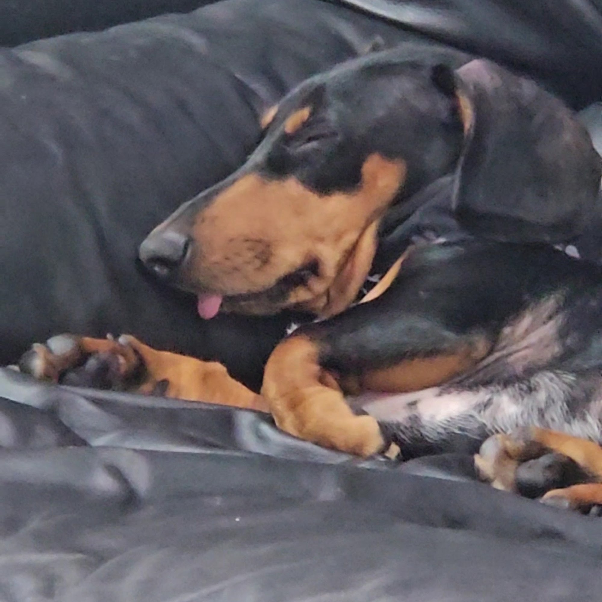 10-7 Barber 1745 N Grand Ave, Santa Ana California 92705