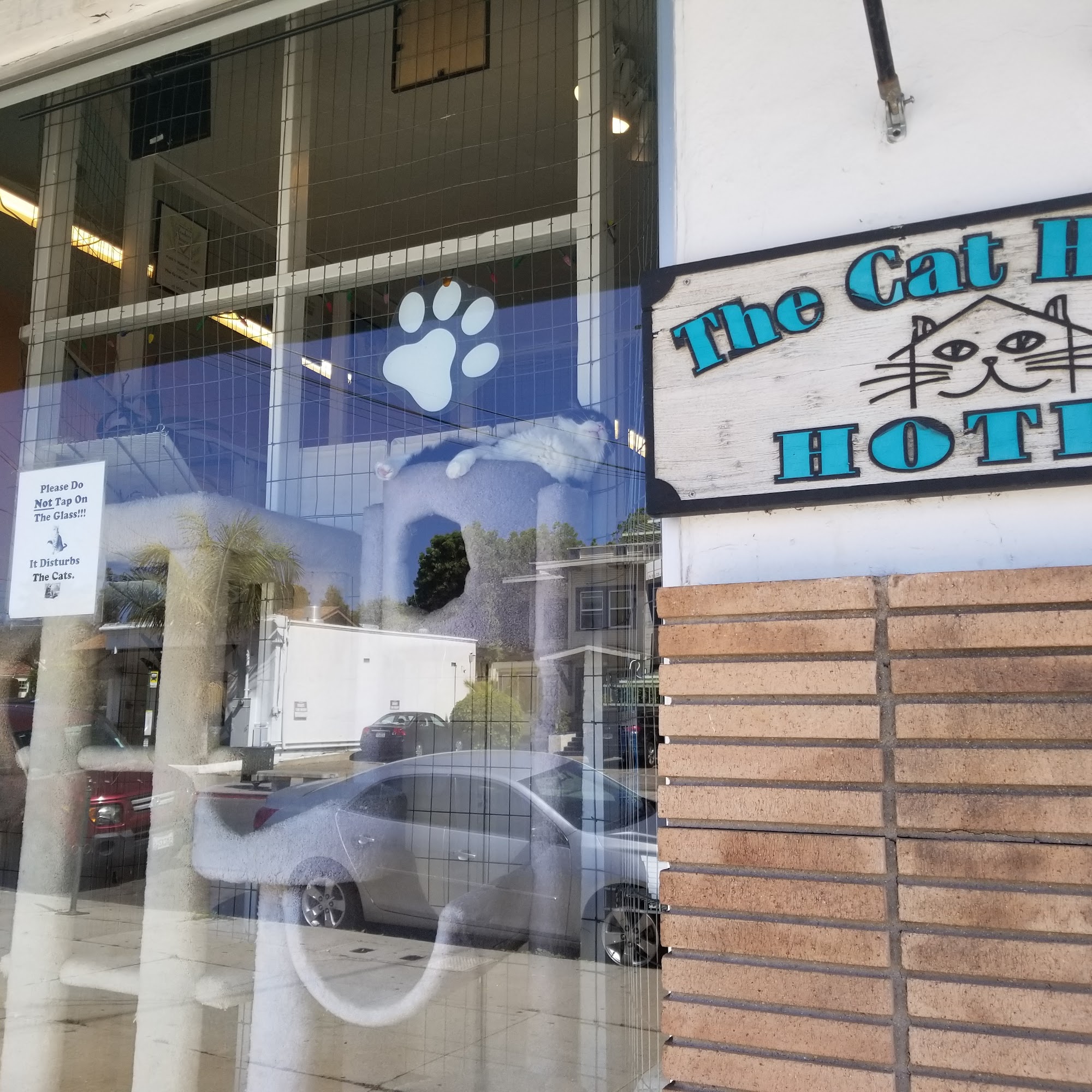 Cat House Hotel Santa Barbara