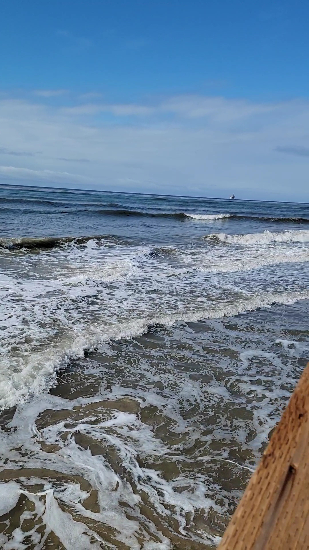 WFM Coffee & Juice Bar Menu