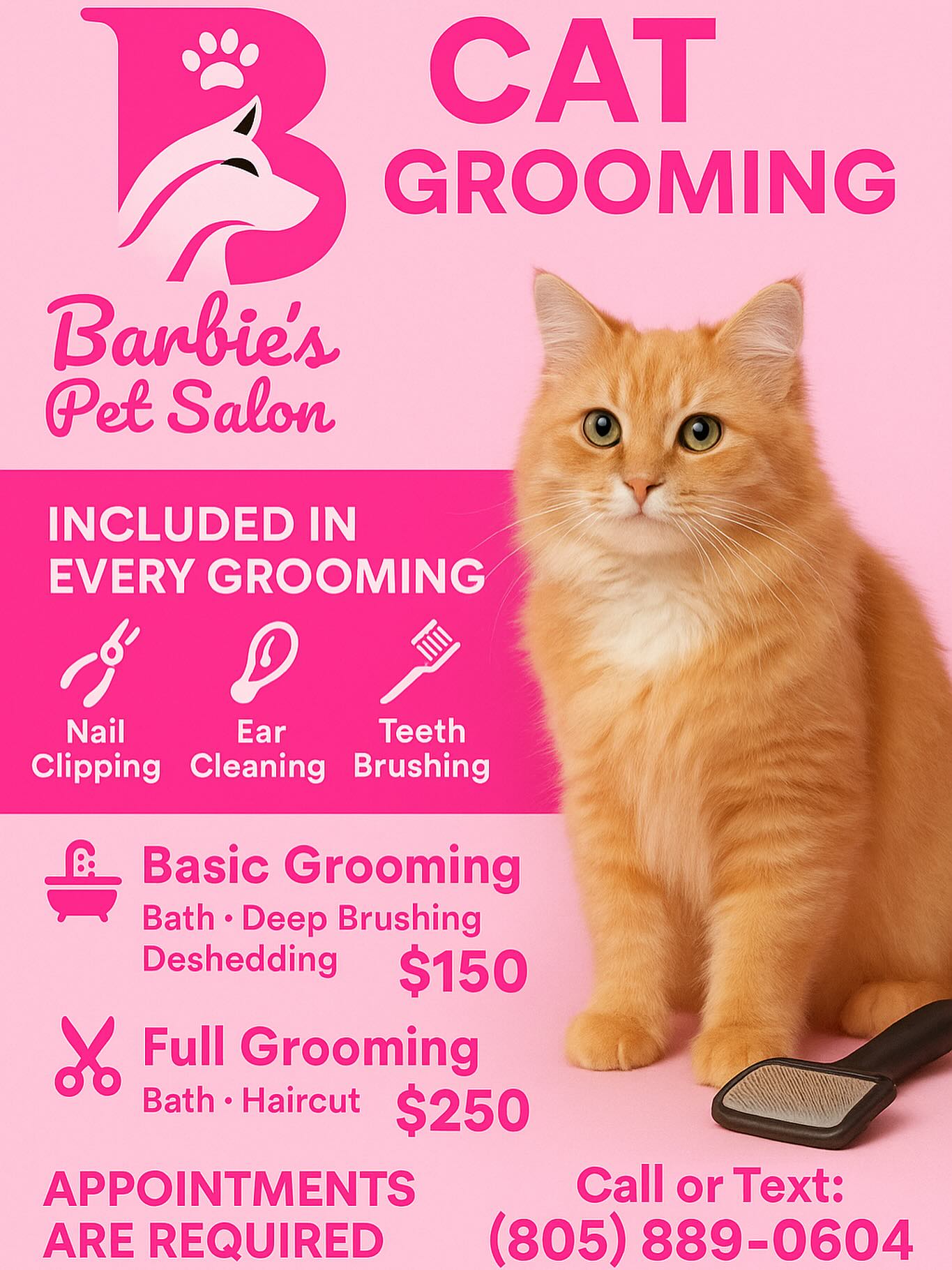 Barbie's Pet Salon Santa Barbara