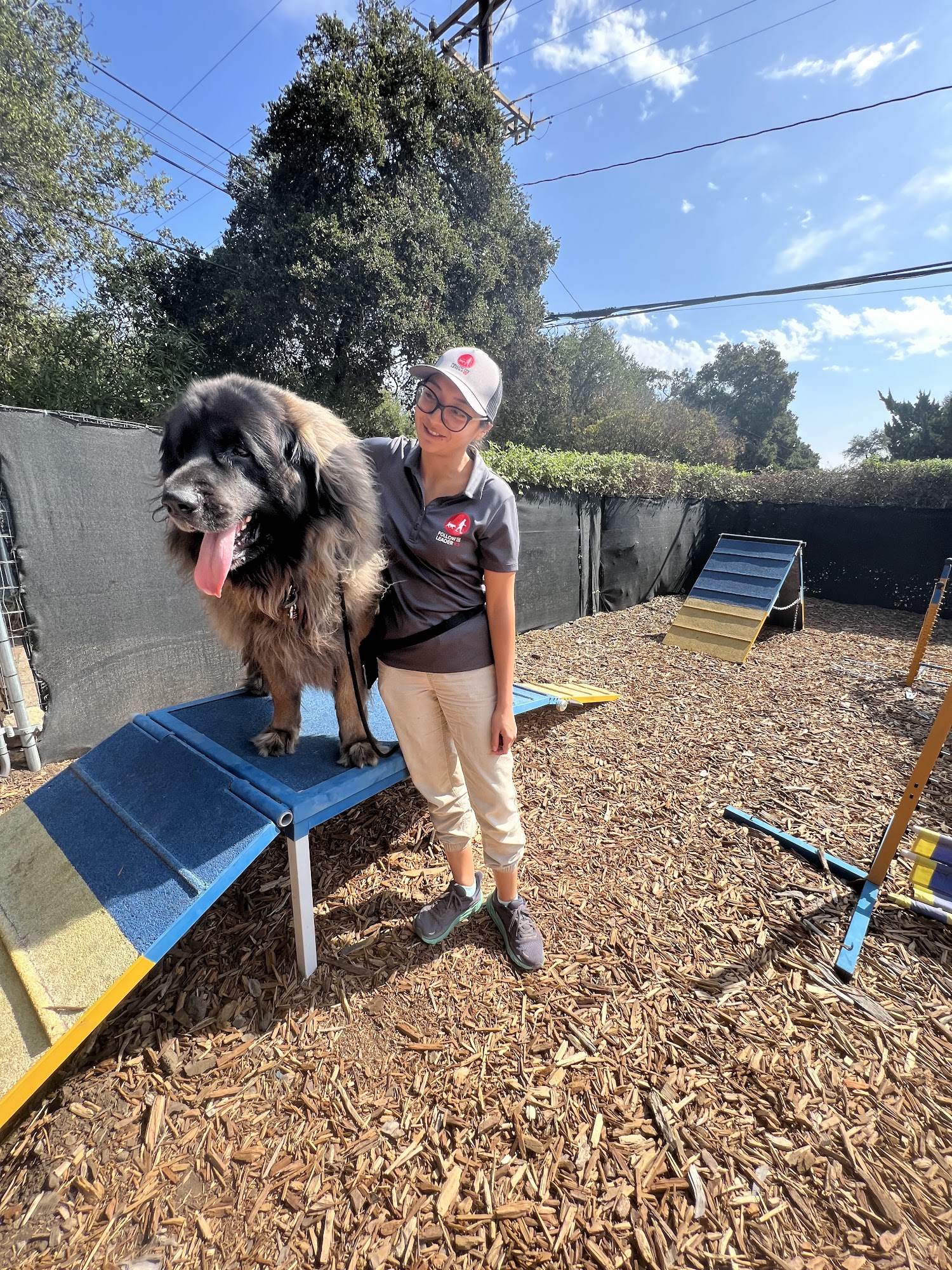 Follow The Leader K9 Santa Barbara