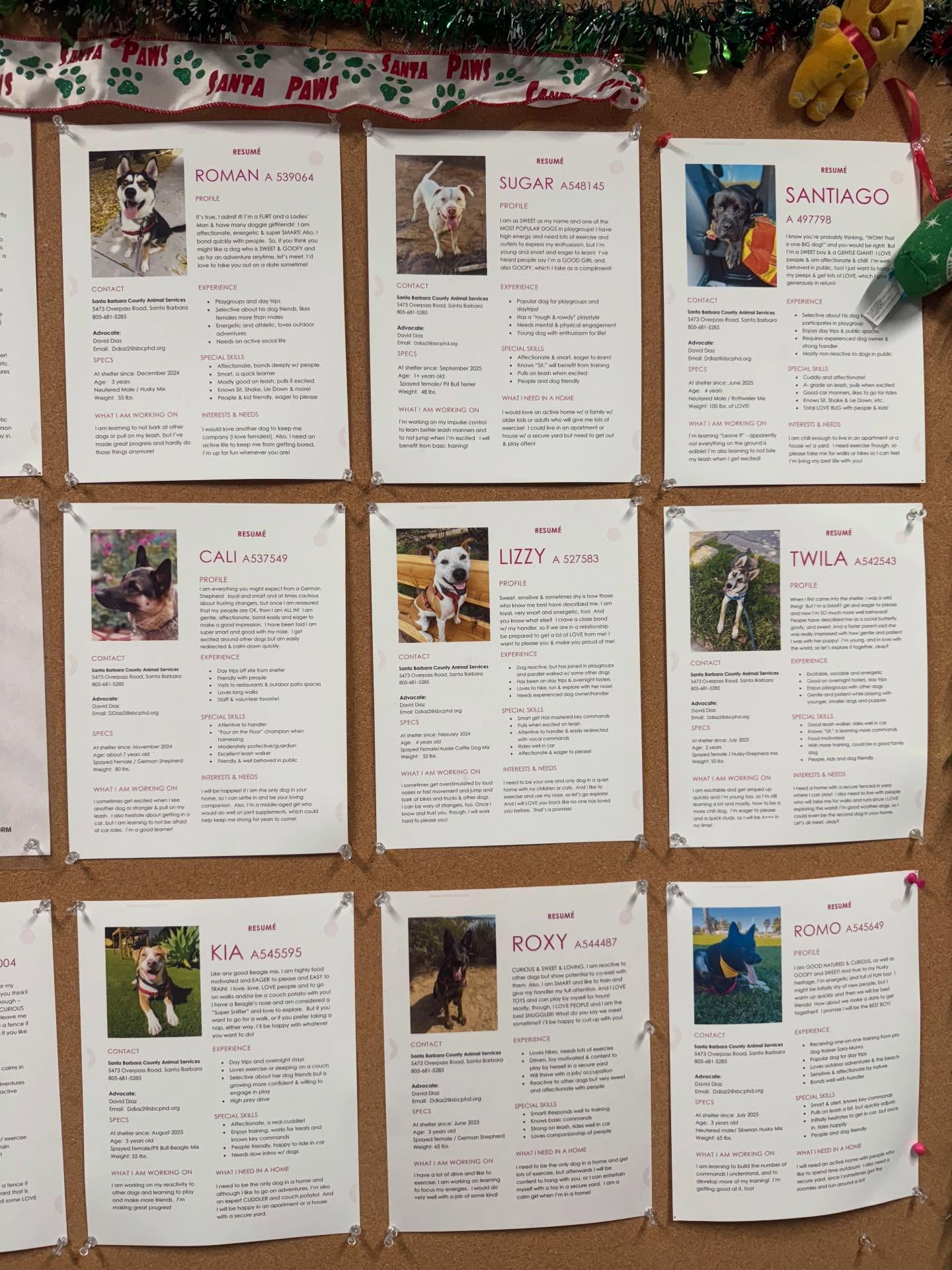 St. Bibiana Santa Barbara