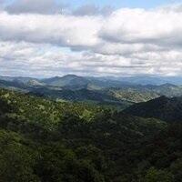 Cheryl Elliott, Notary Public