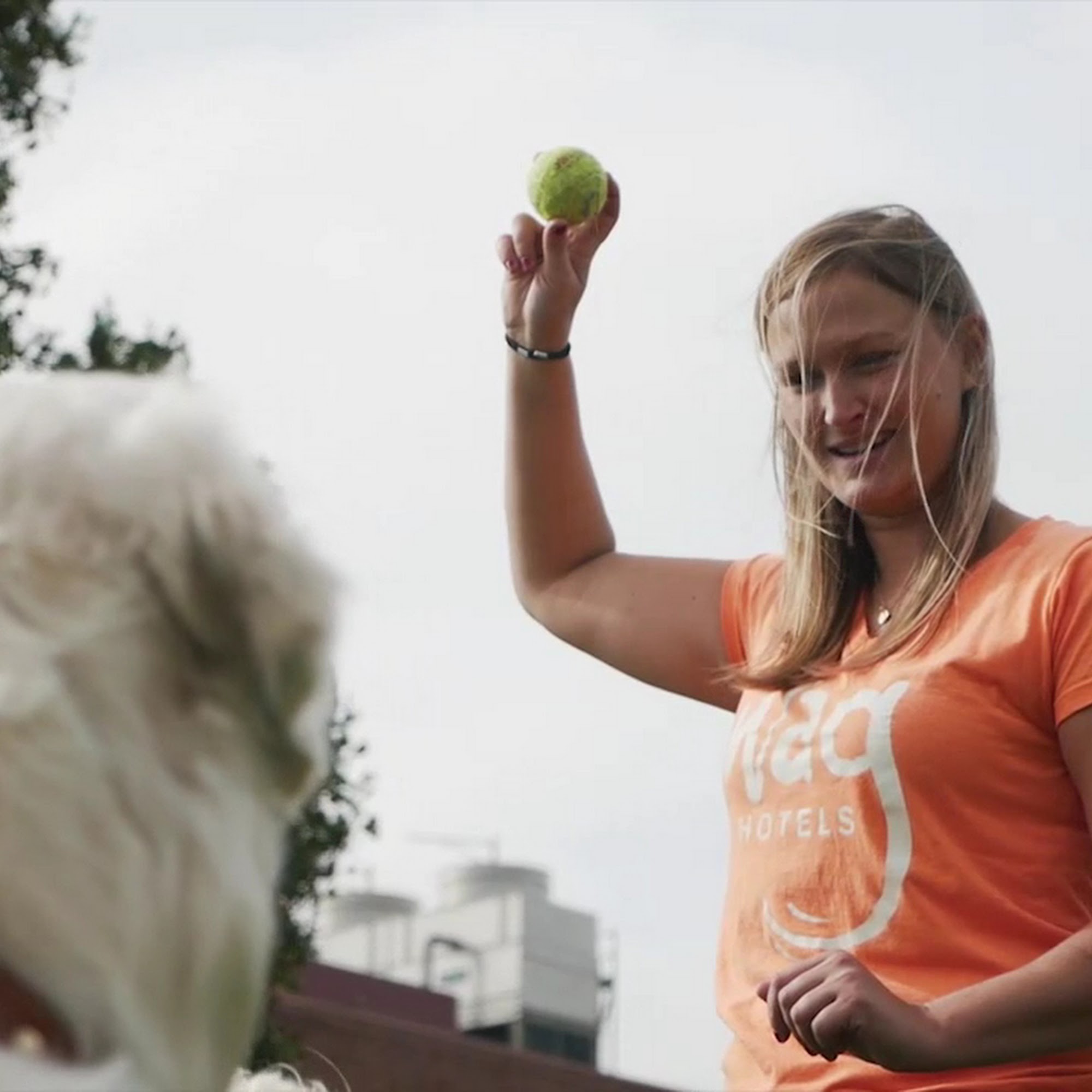 Wag Hotels - Santa Clara Santa Clara