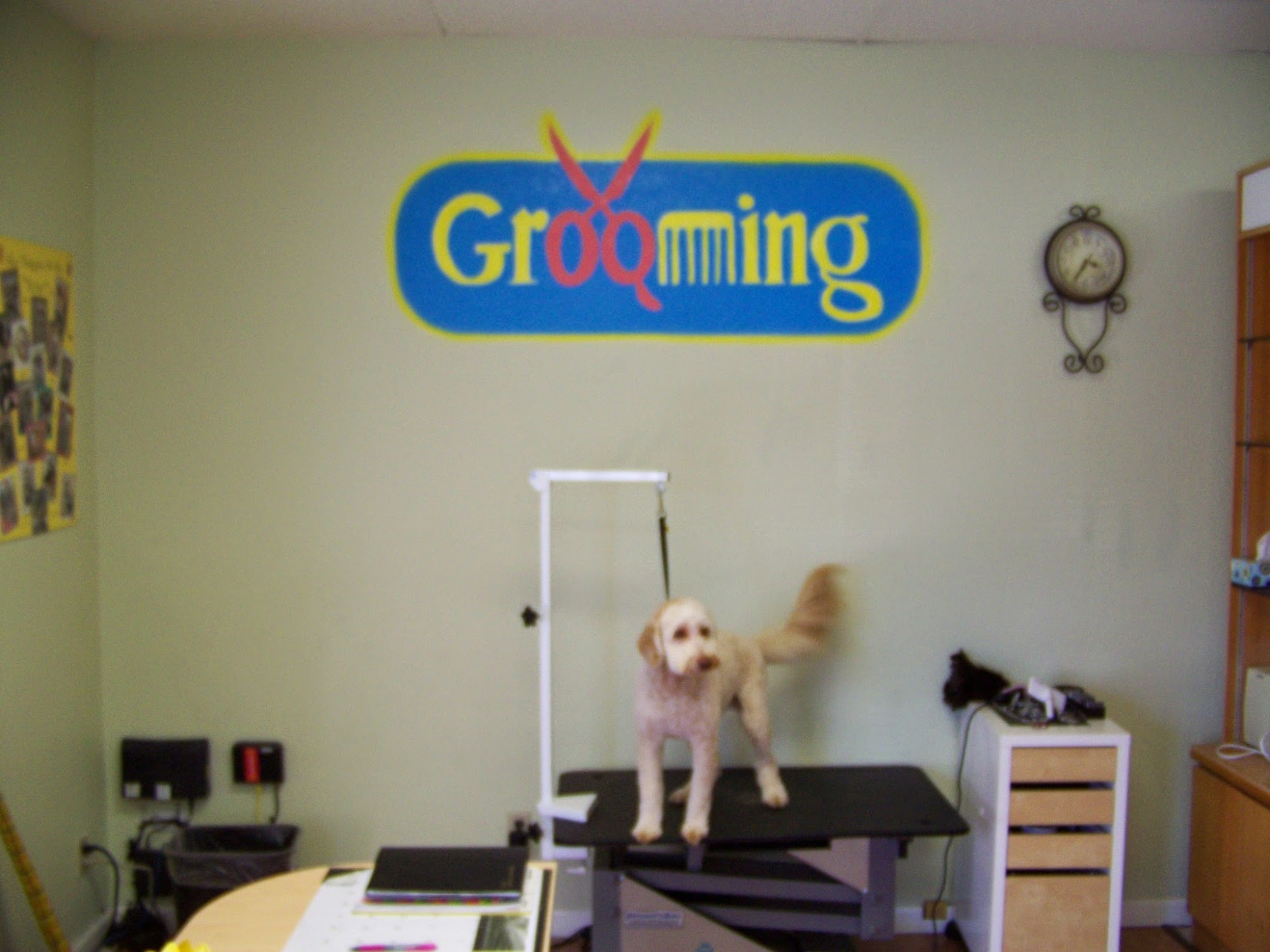TLC Grooming Santa Clara