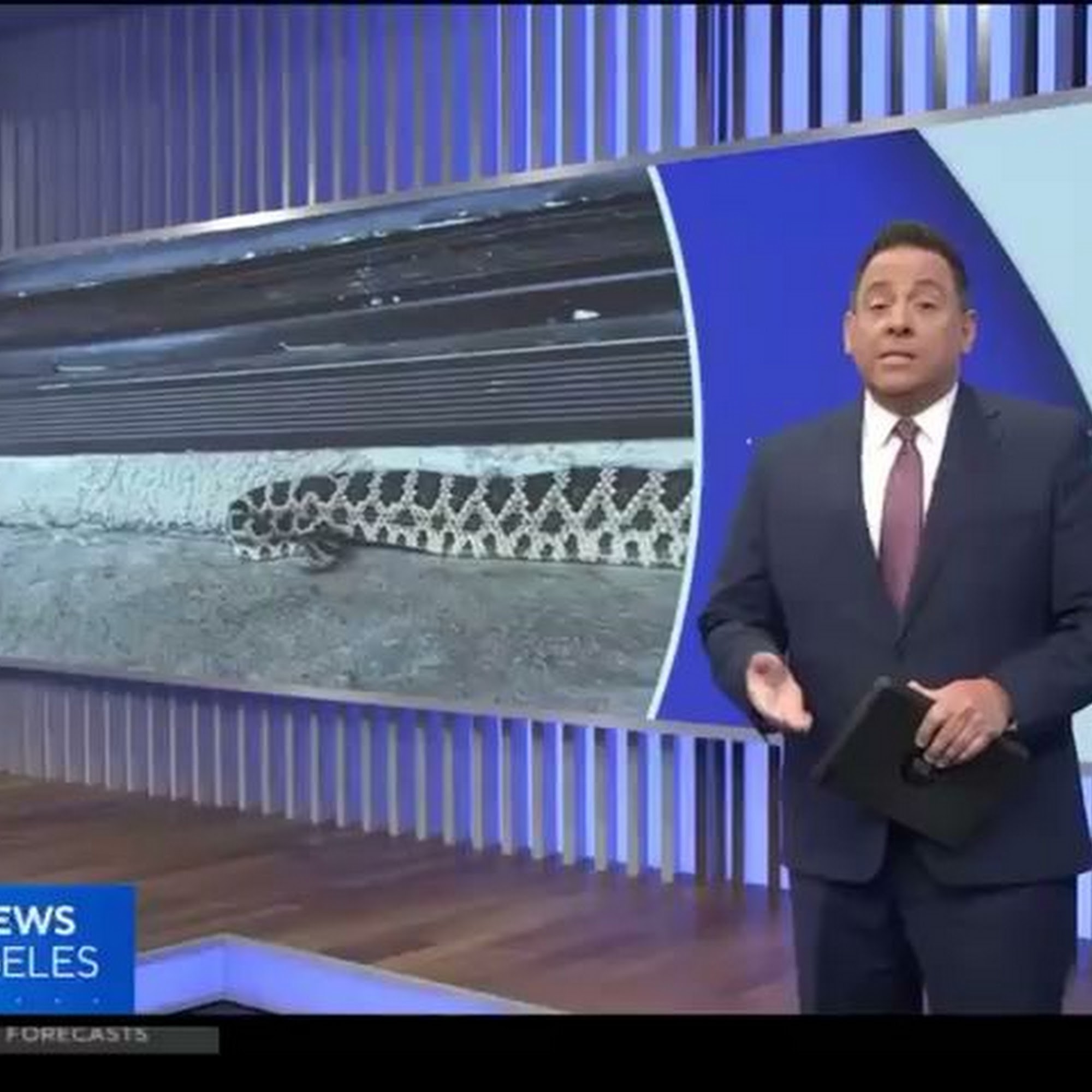 Grand Canyon Veterinary Hospital Santa Clarita