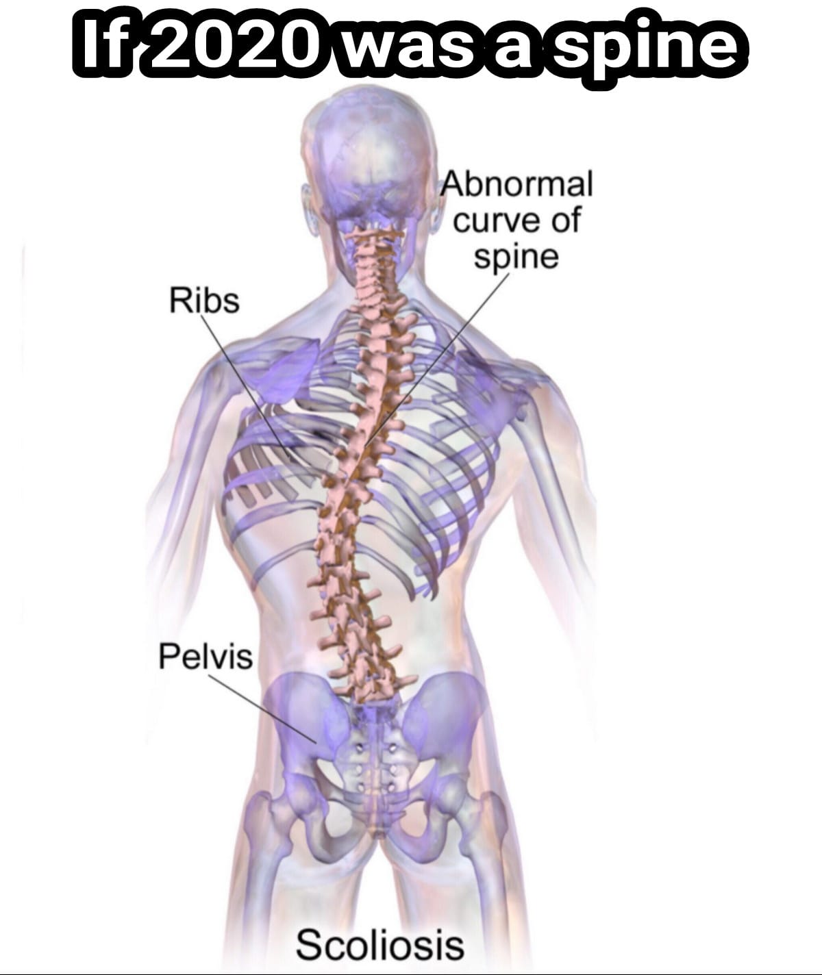 All Family Chiropractic Center