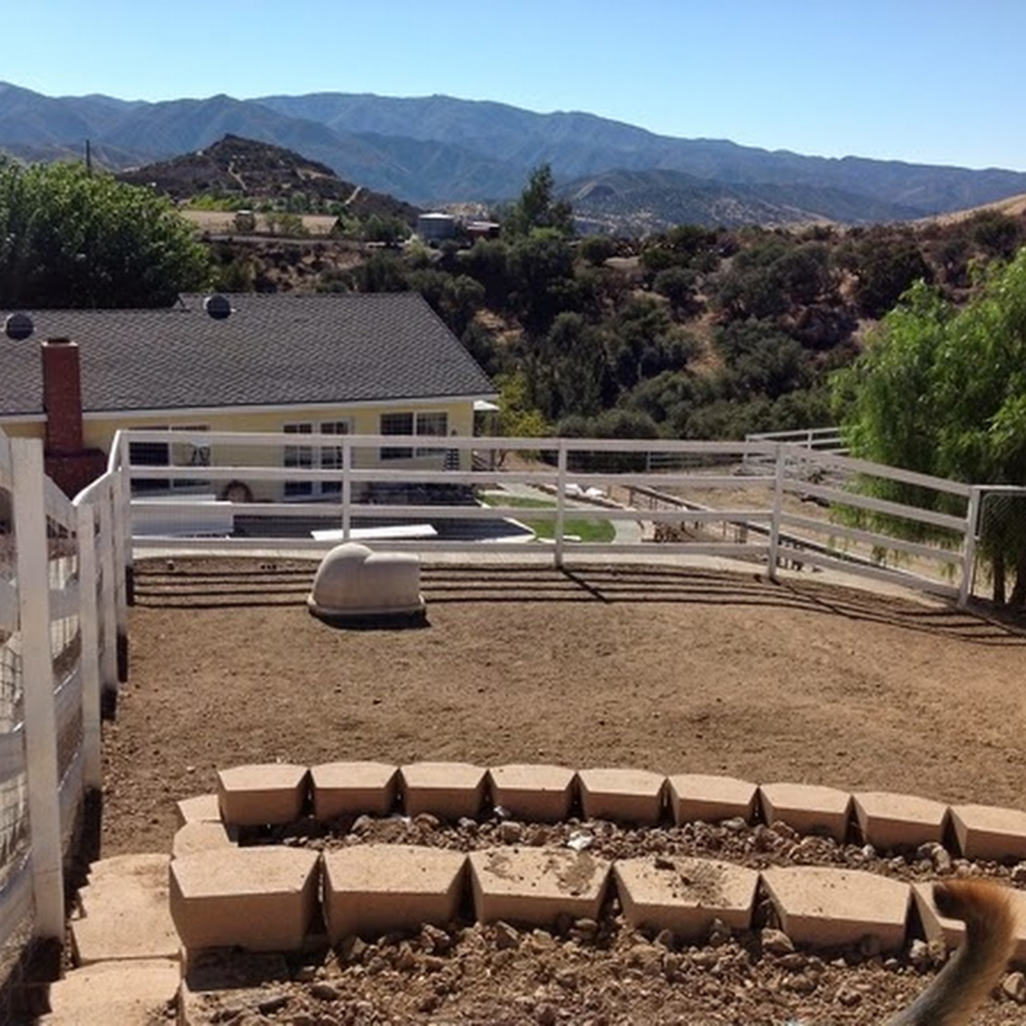 Tina's Dog Town Santa Clarita