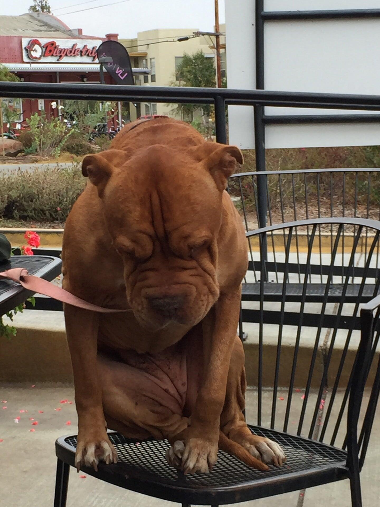 Photo credit: nextdoor