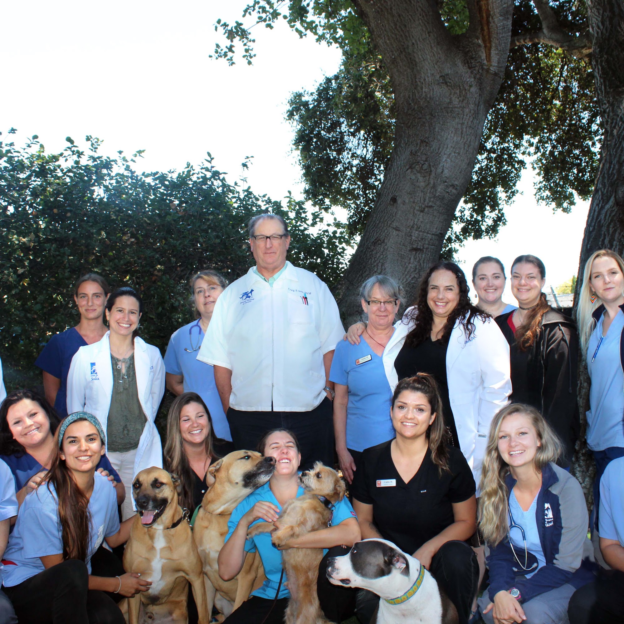 Animal Hospital of Soquel Santa Cruz