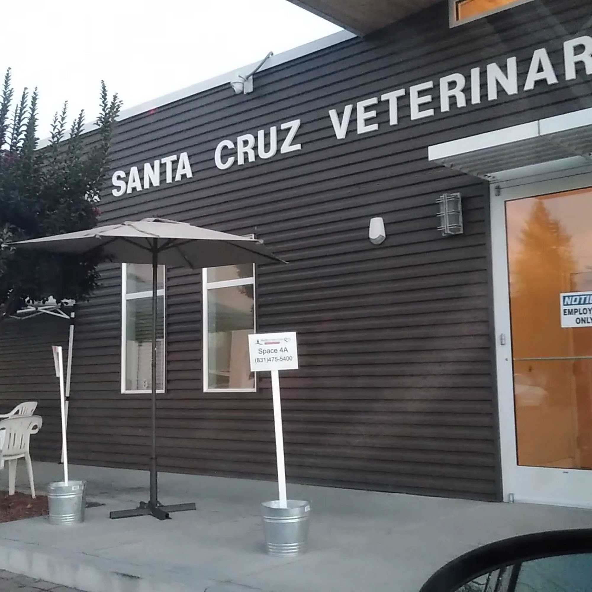 Pacific and Santa Cruz Veterinary Specialists Santa Cruz