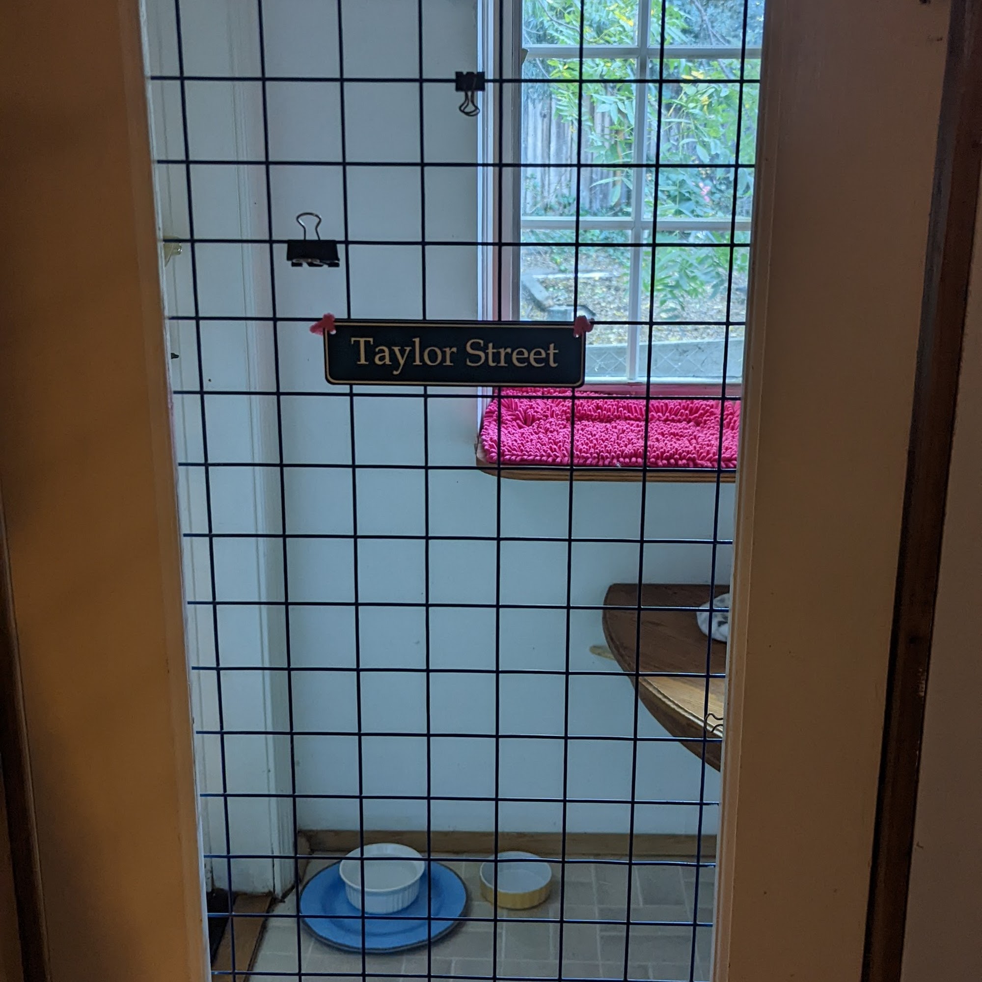 Kitty Hill Resort For Cats Santa Cruz