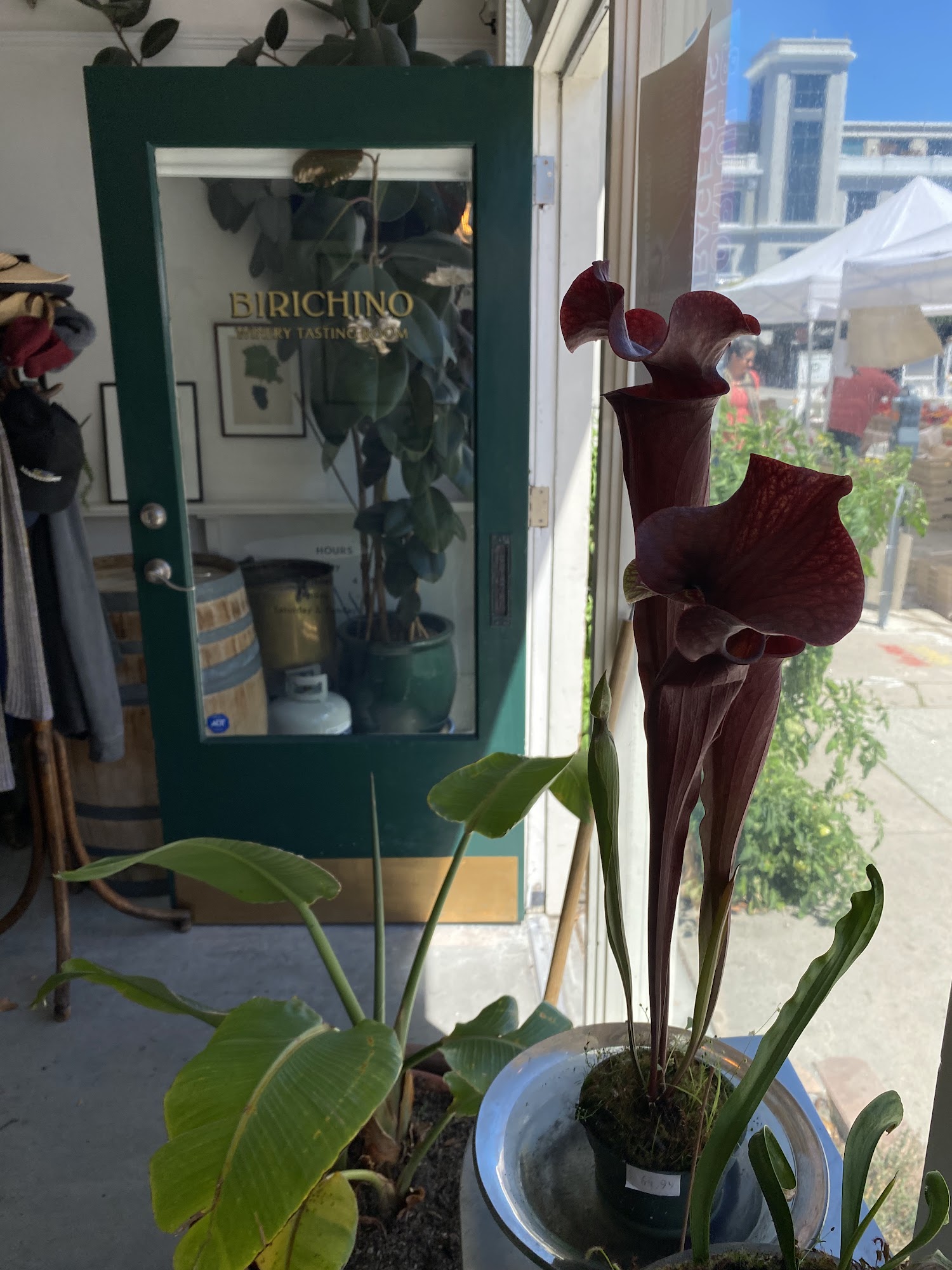 Birichino Winery Tasting Room Menu