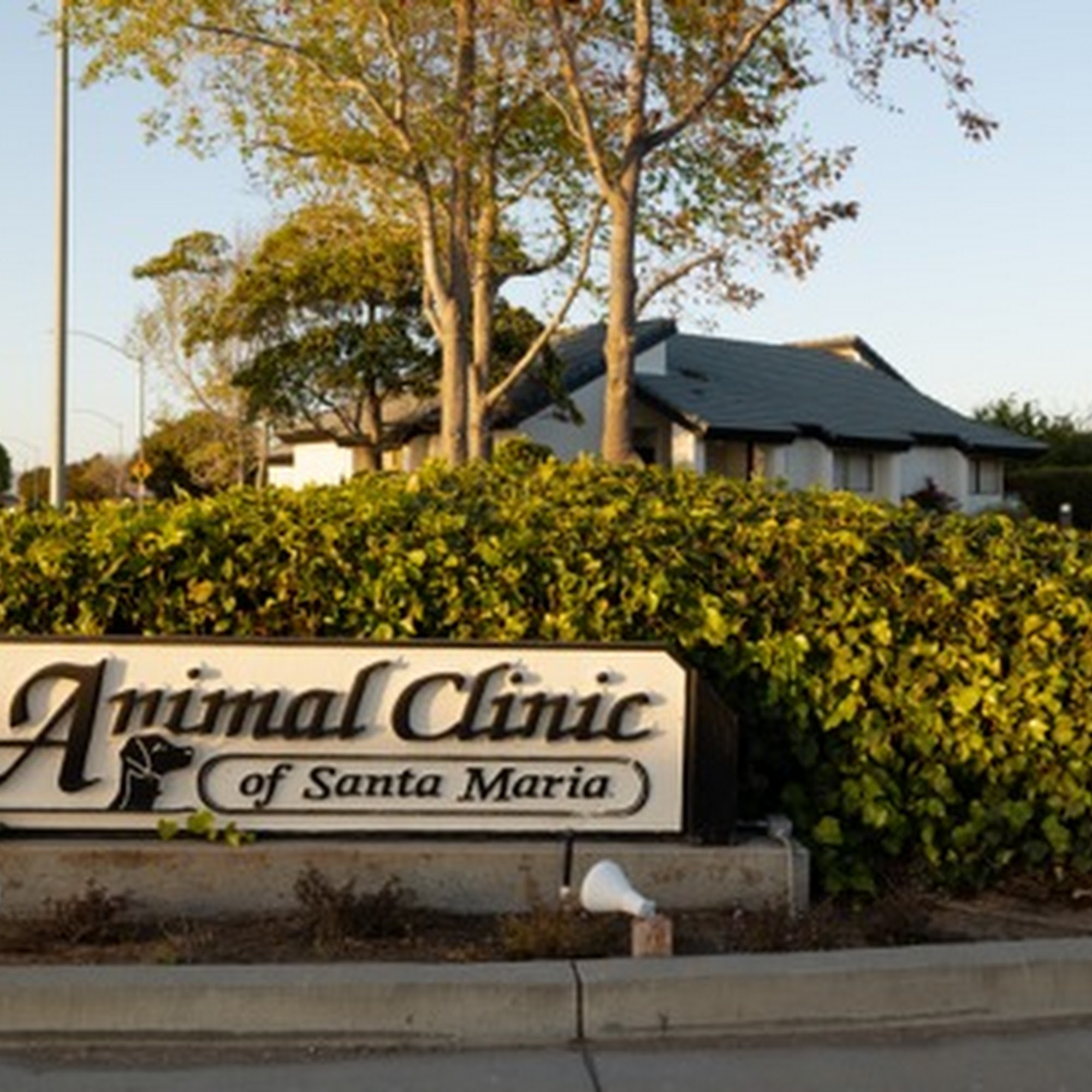 Animal Clinic of Santa Maria Santa Maria
