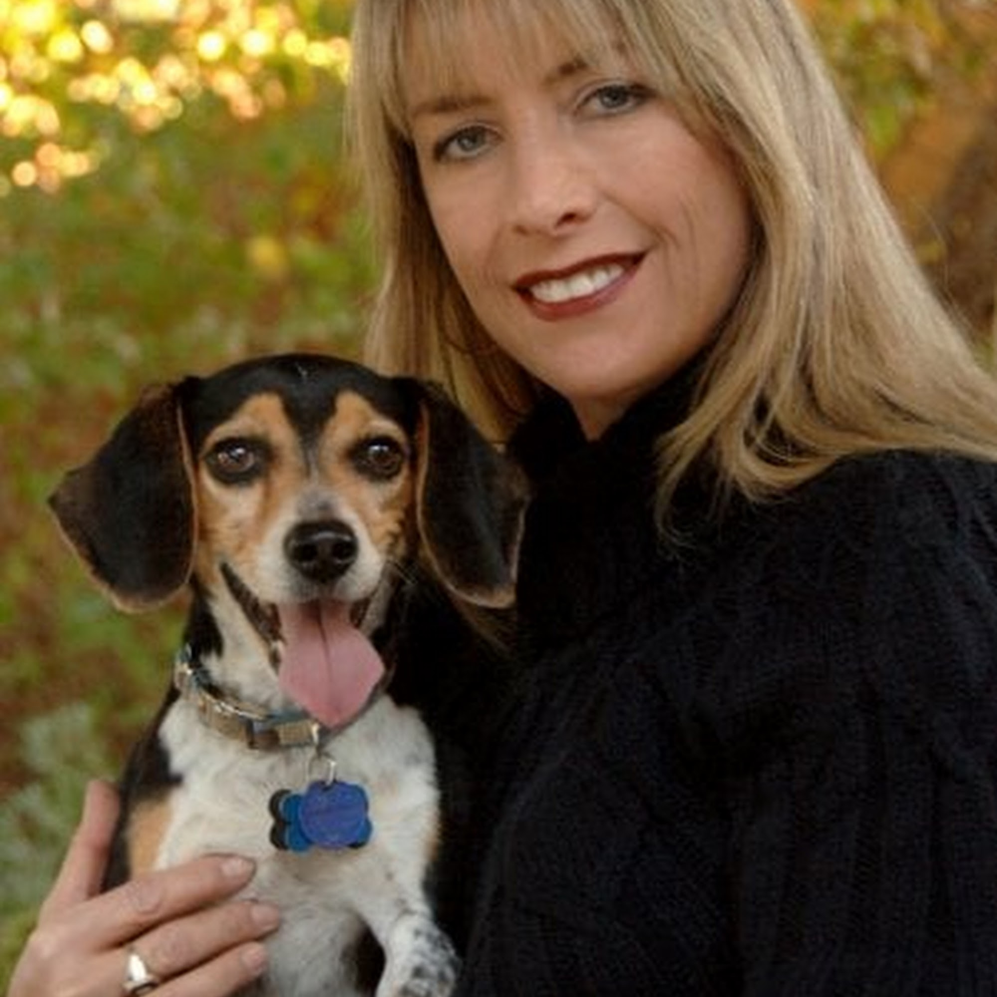 Orcutt Veterinary Hospital Santa Maria