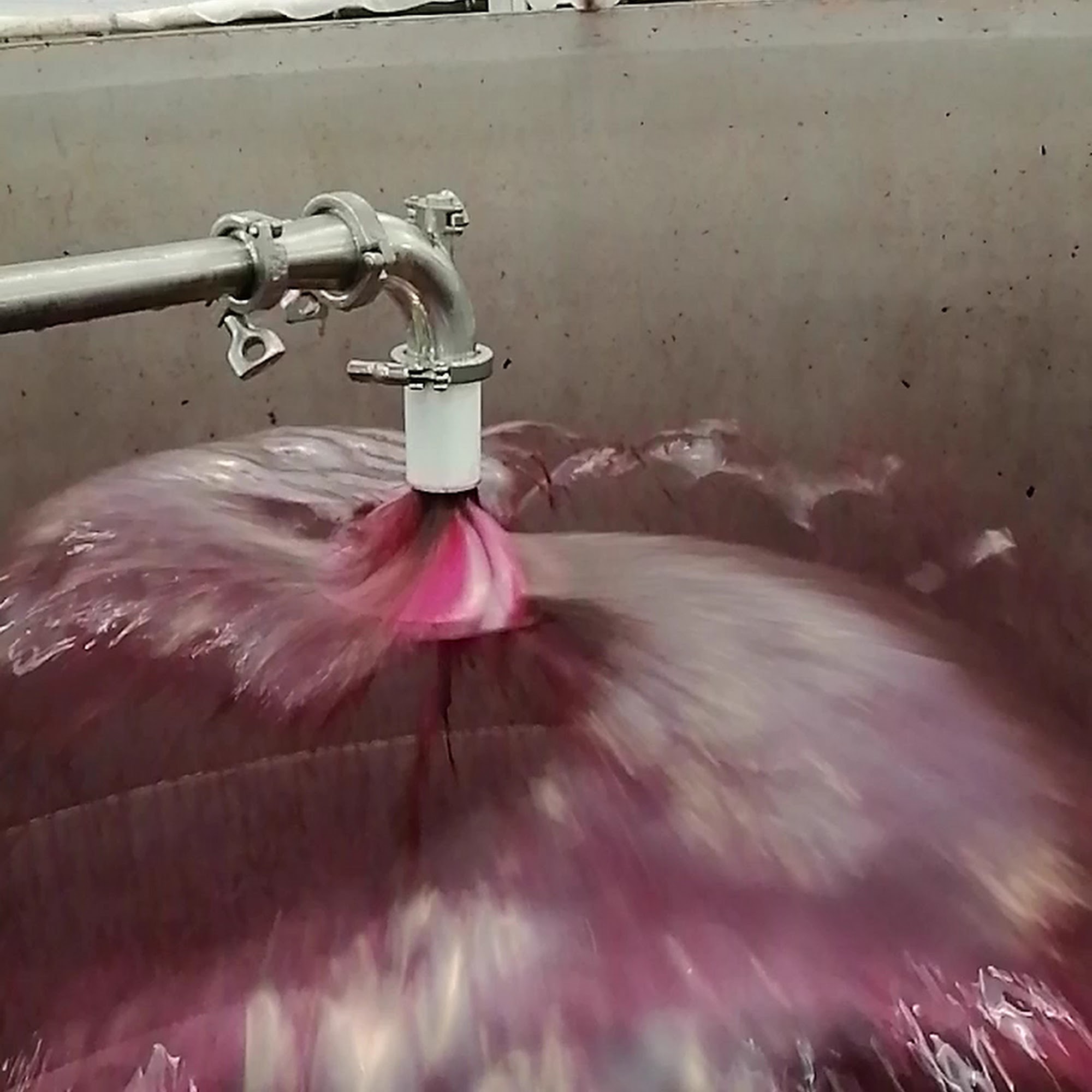 Cambria Winery Santa Maria