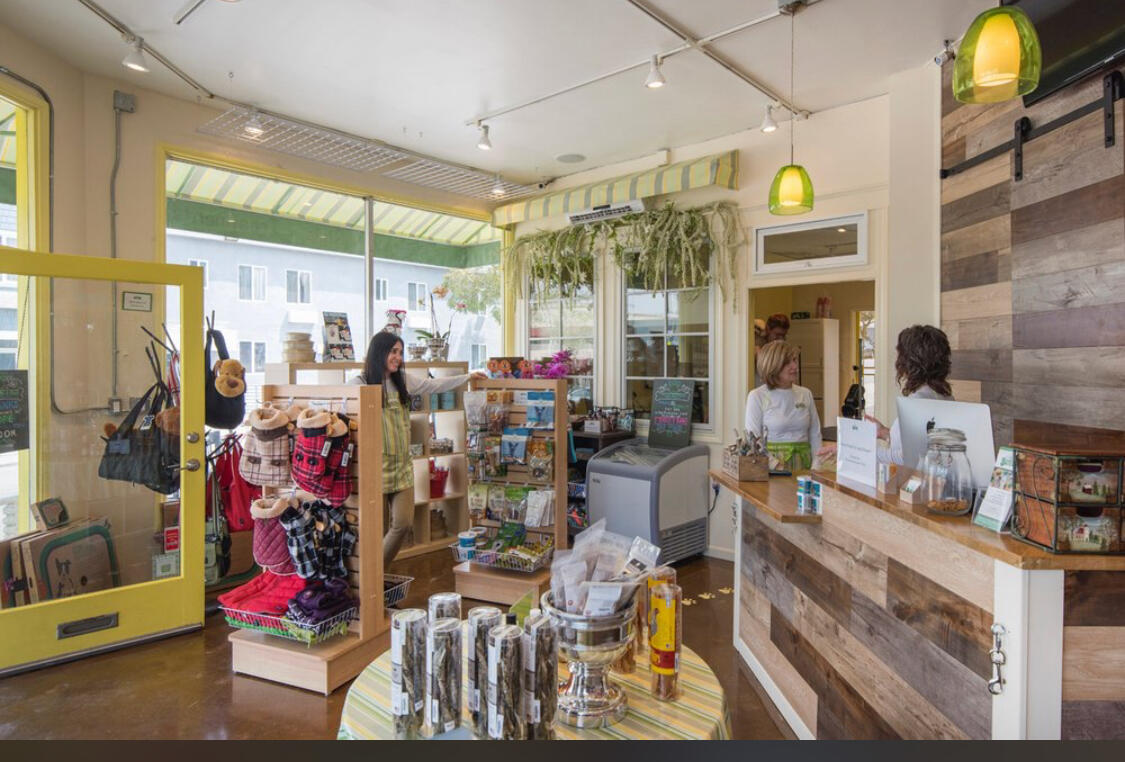 Paws & Effect Pet Spa Santa Monica