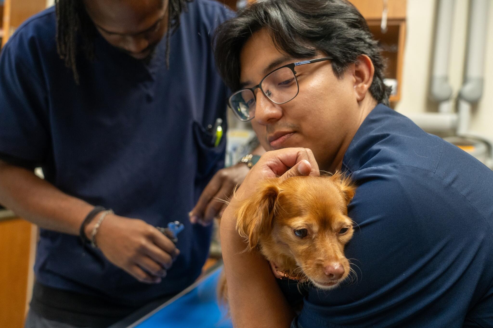 Santa Monica Pet Medical Center Santa Monica