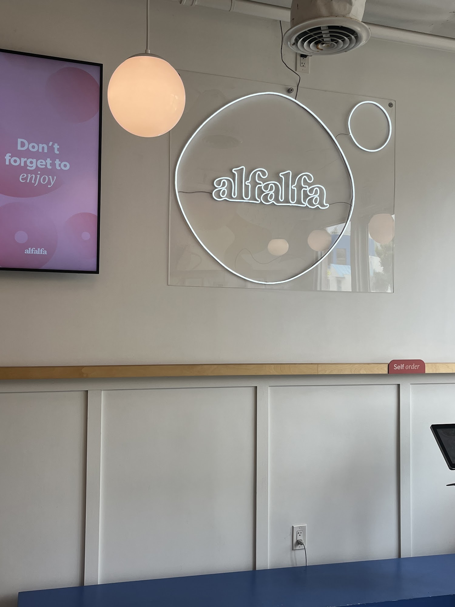 Alfalfa Santa Monica