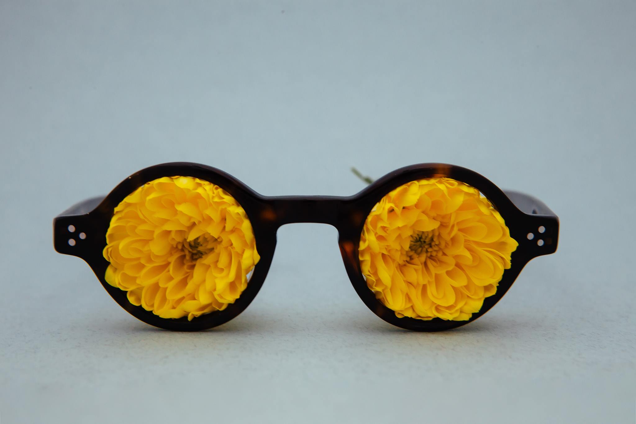 Dan Deutsch Optical Outlook