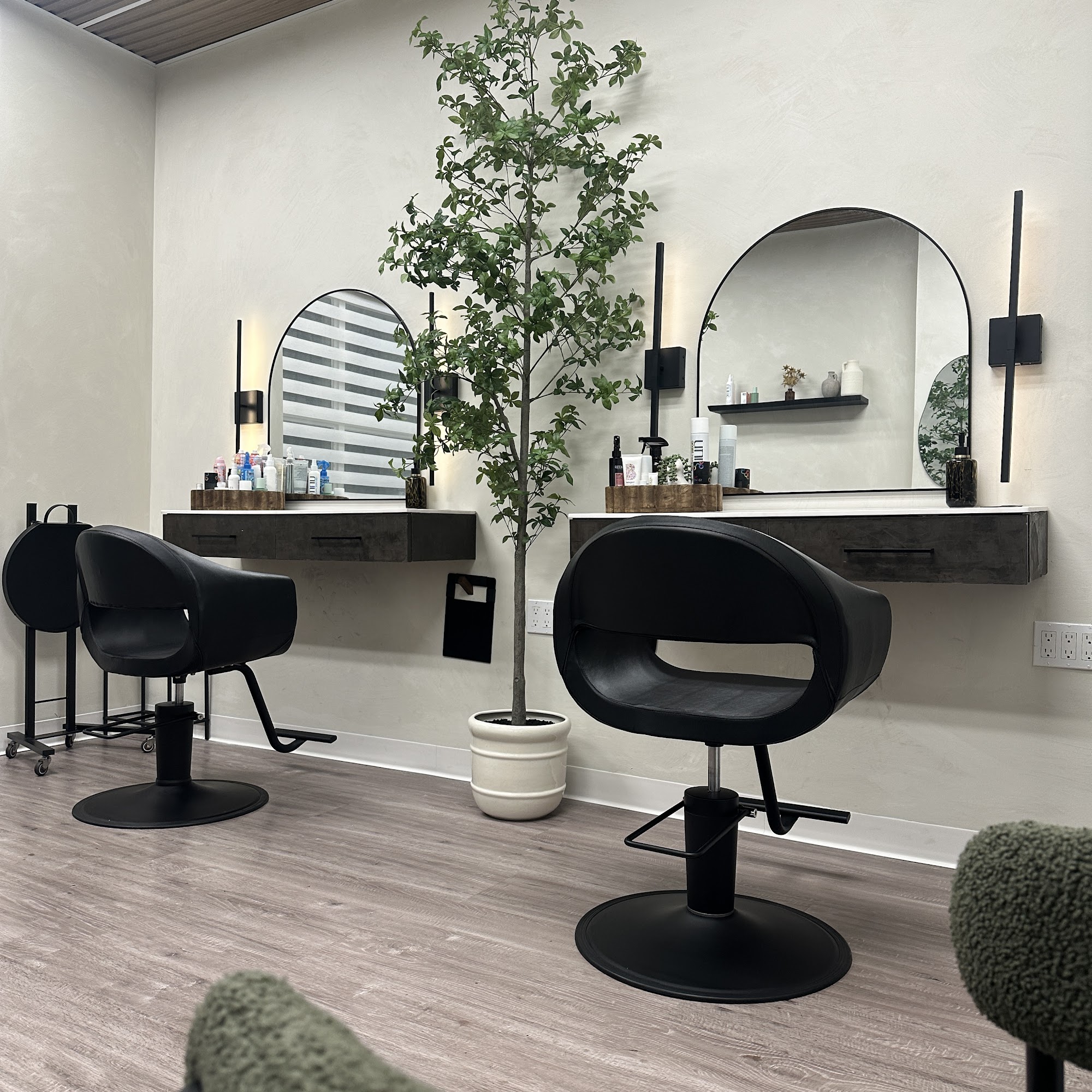 Cat Enlightens 530 Wilshire Blvd Suite 101-20, Santa Monica California 90401