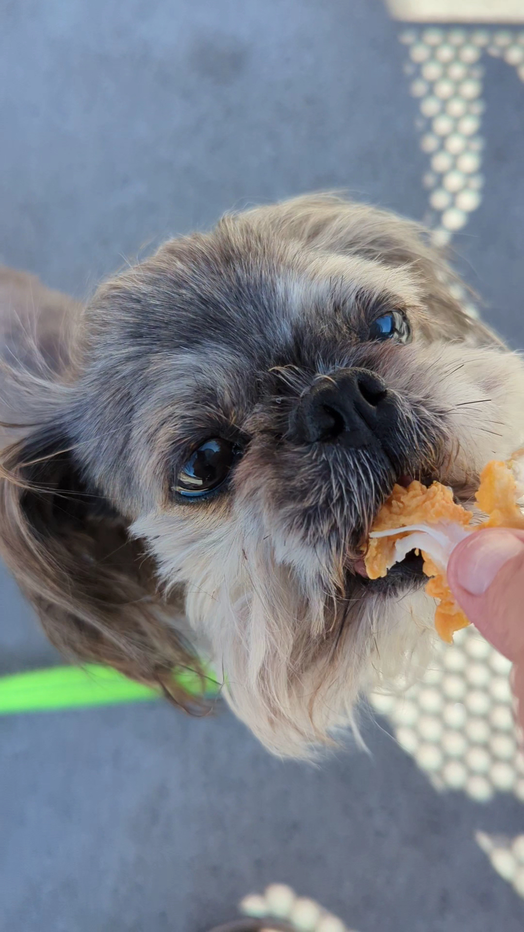 Popeyes Louisiana Kitchen Menu