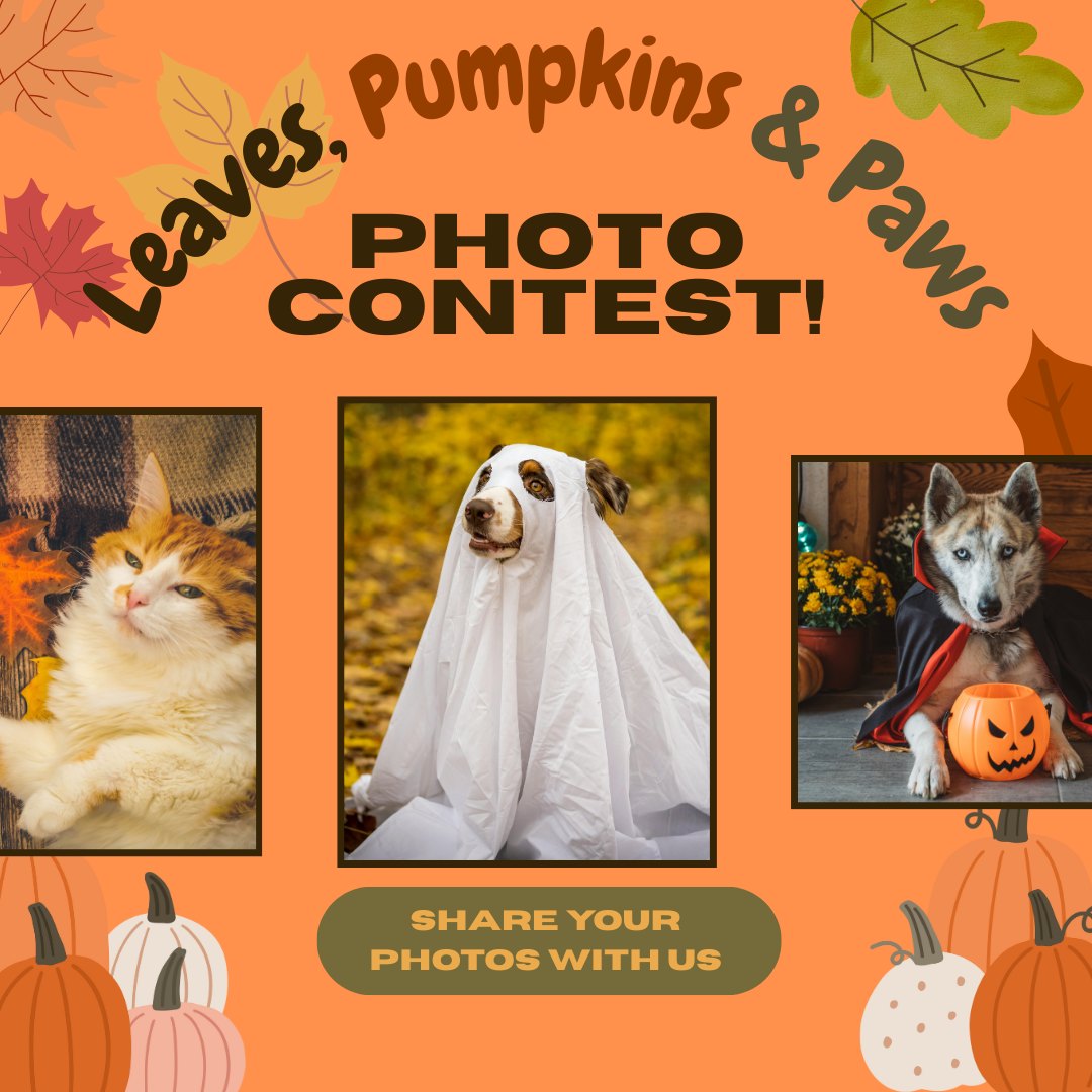 Ohana Pet Hospital of Santa Paula Santa Paula