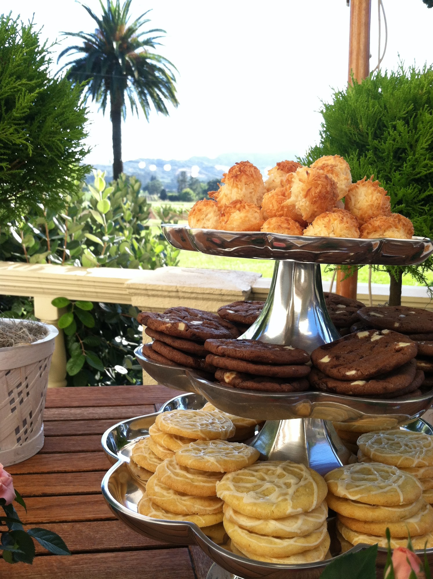 COOKIE... take a bite! Santa Rosa