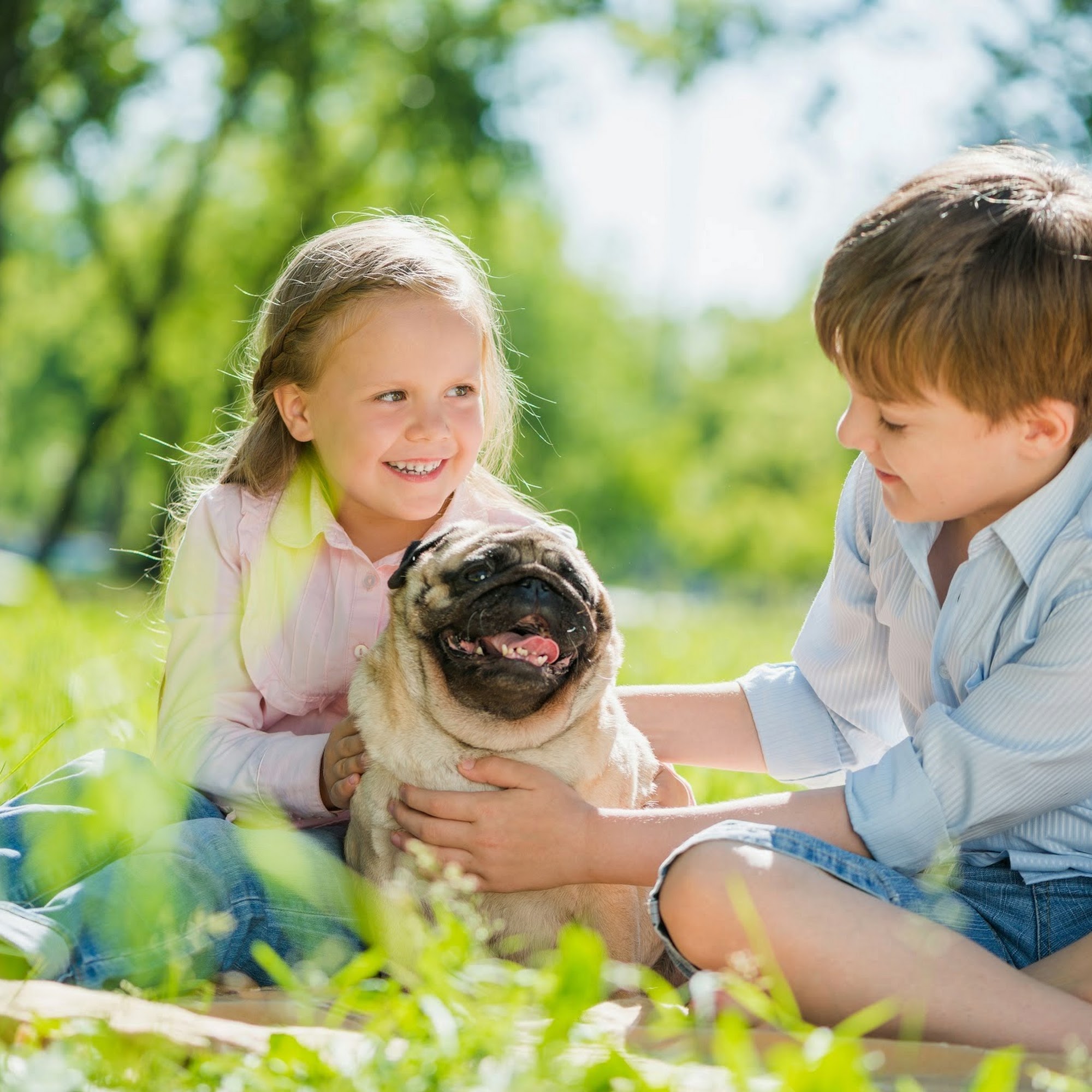 Heritage Veterinary Hospital Santa Rosa