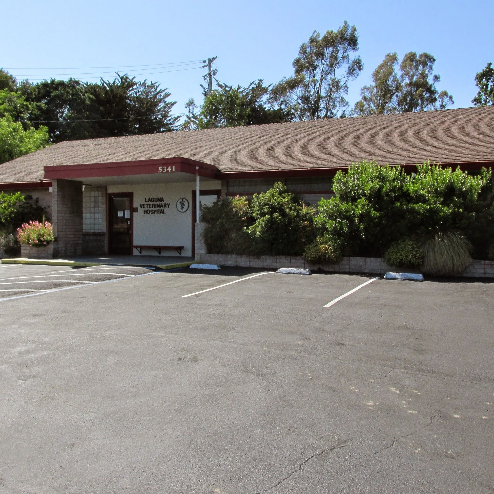 Laguna Veterinary Hospital Santa Rosa