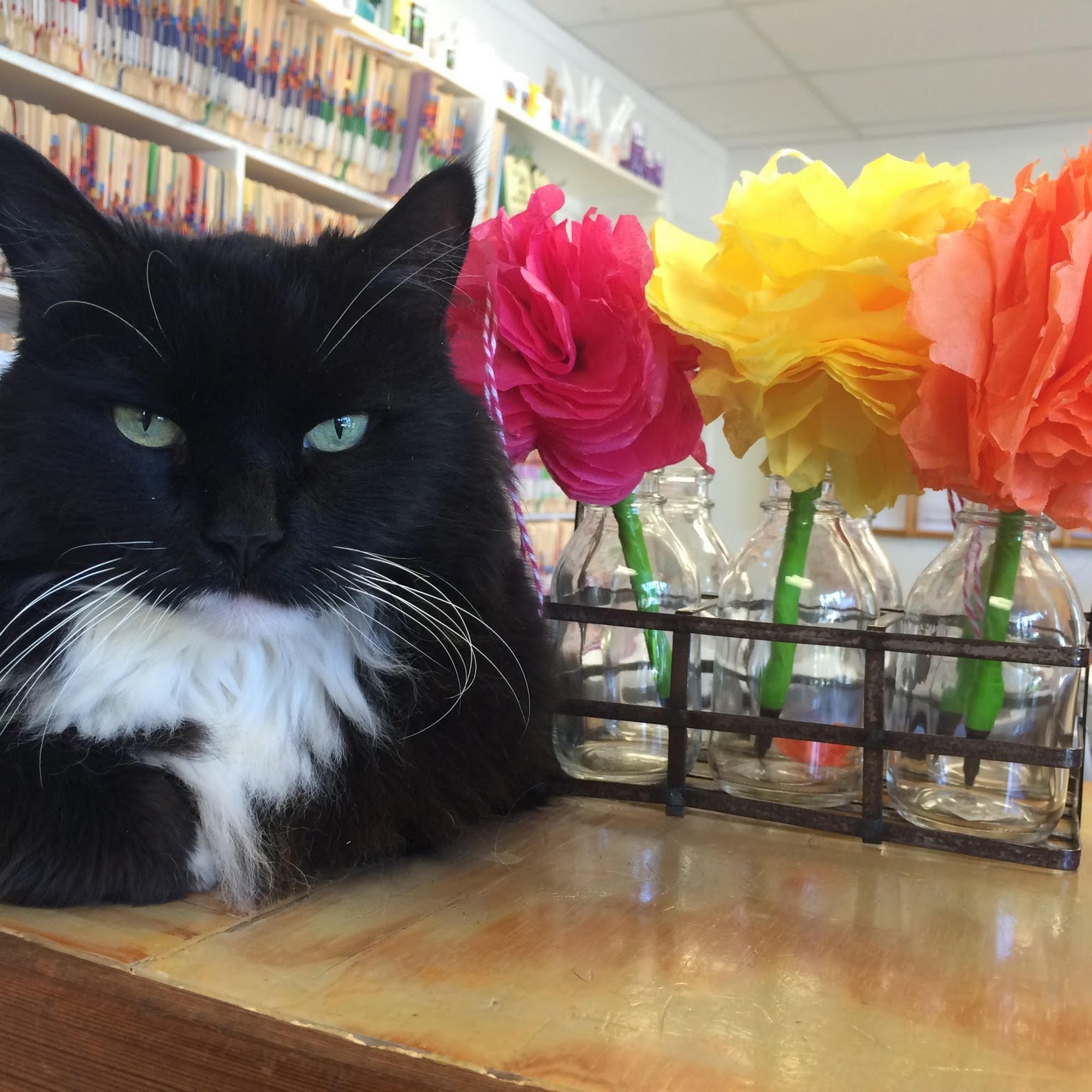 Wikiup Veterinary Hospital Santa Rosa