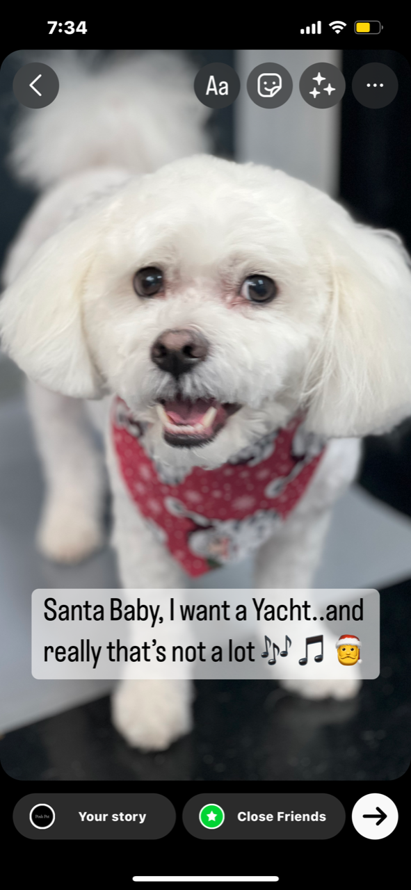 Posh Pet Salon Santa Rosa