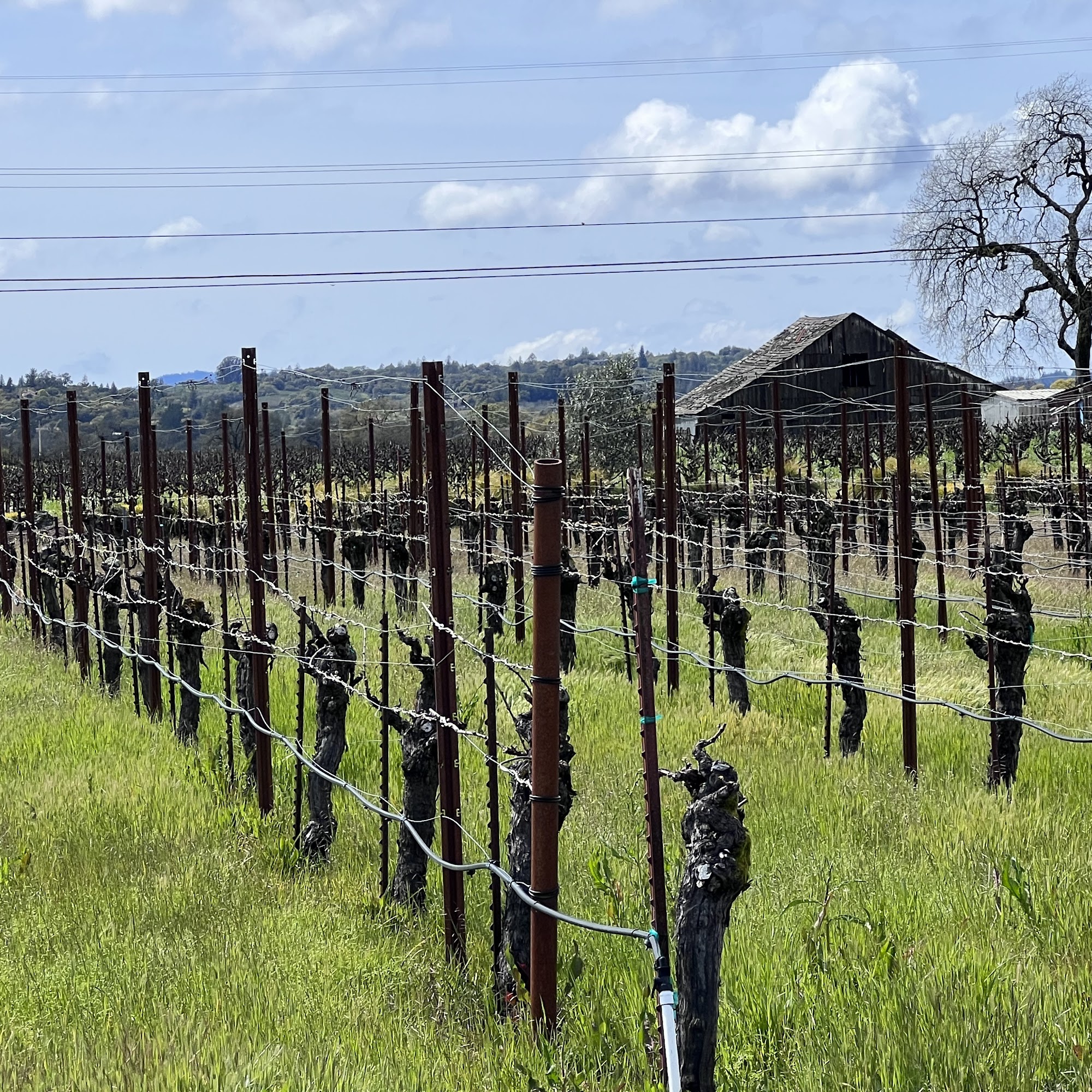 Harvest Moon Estate & Winery Santa Rosa