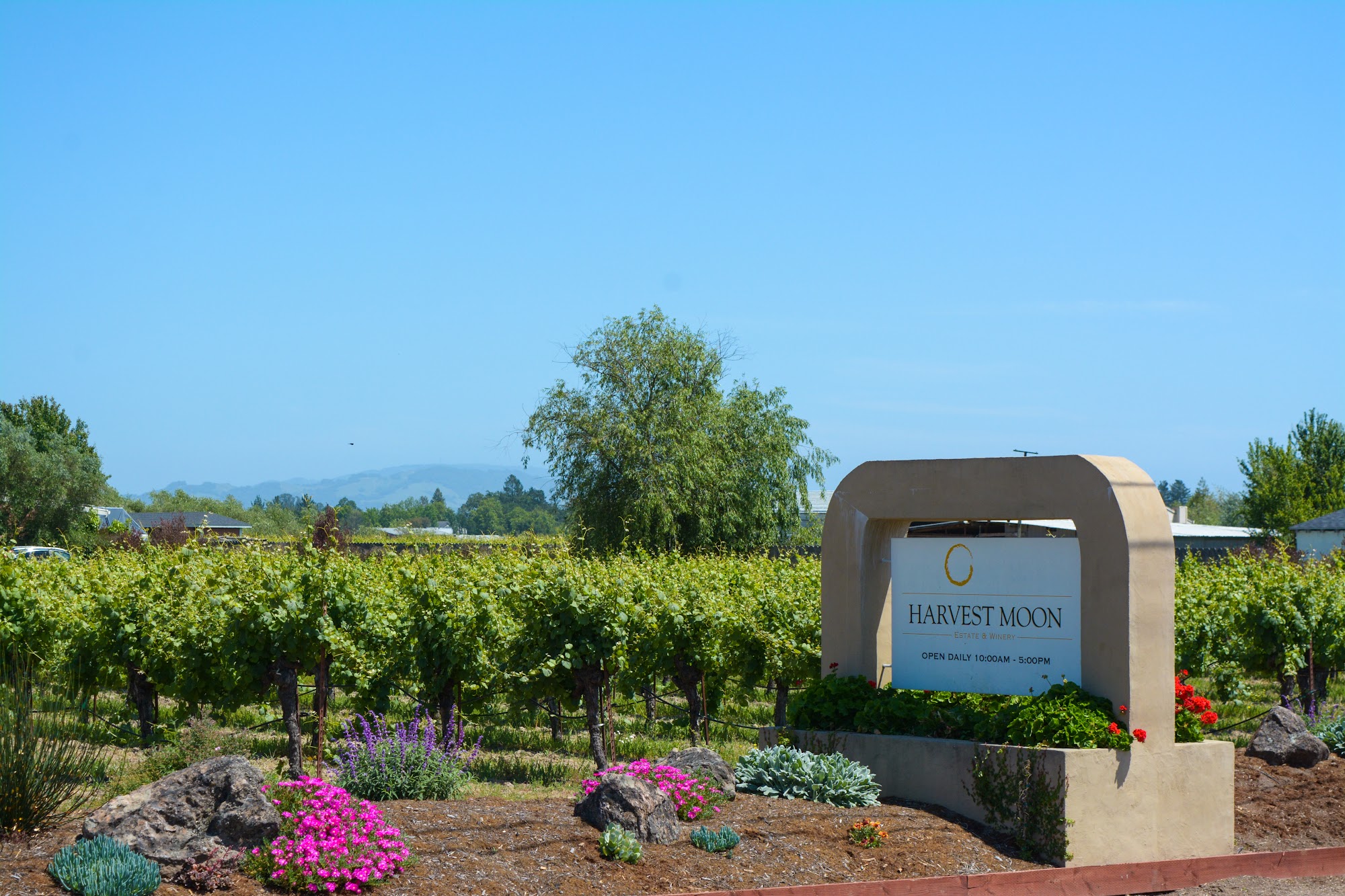 Harvest Moon Estate & Winery Santa Rosa