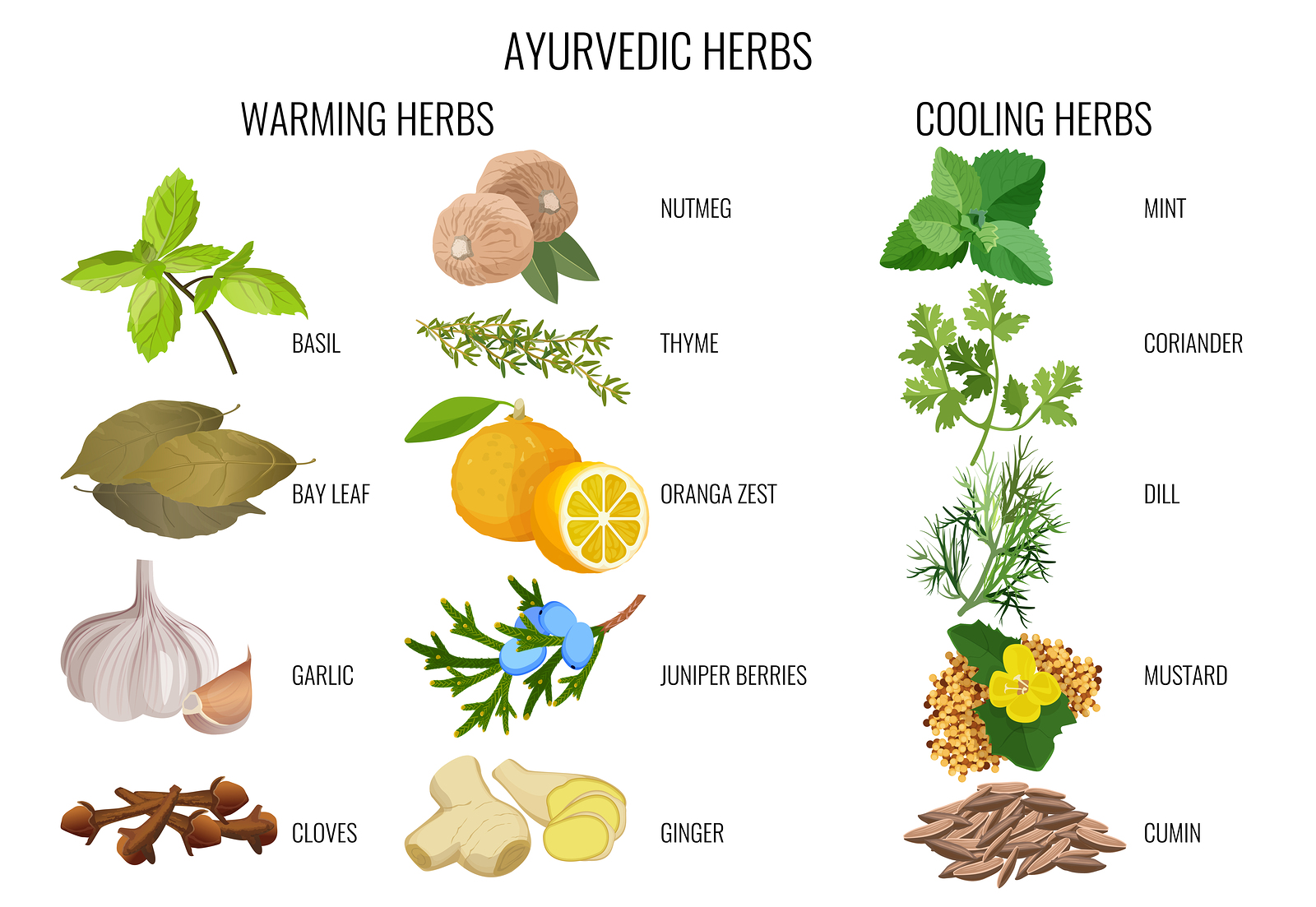 Dr. Helen Thomas