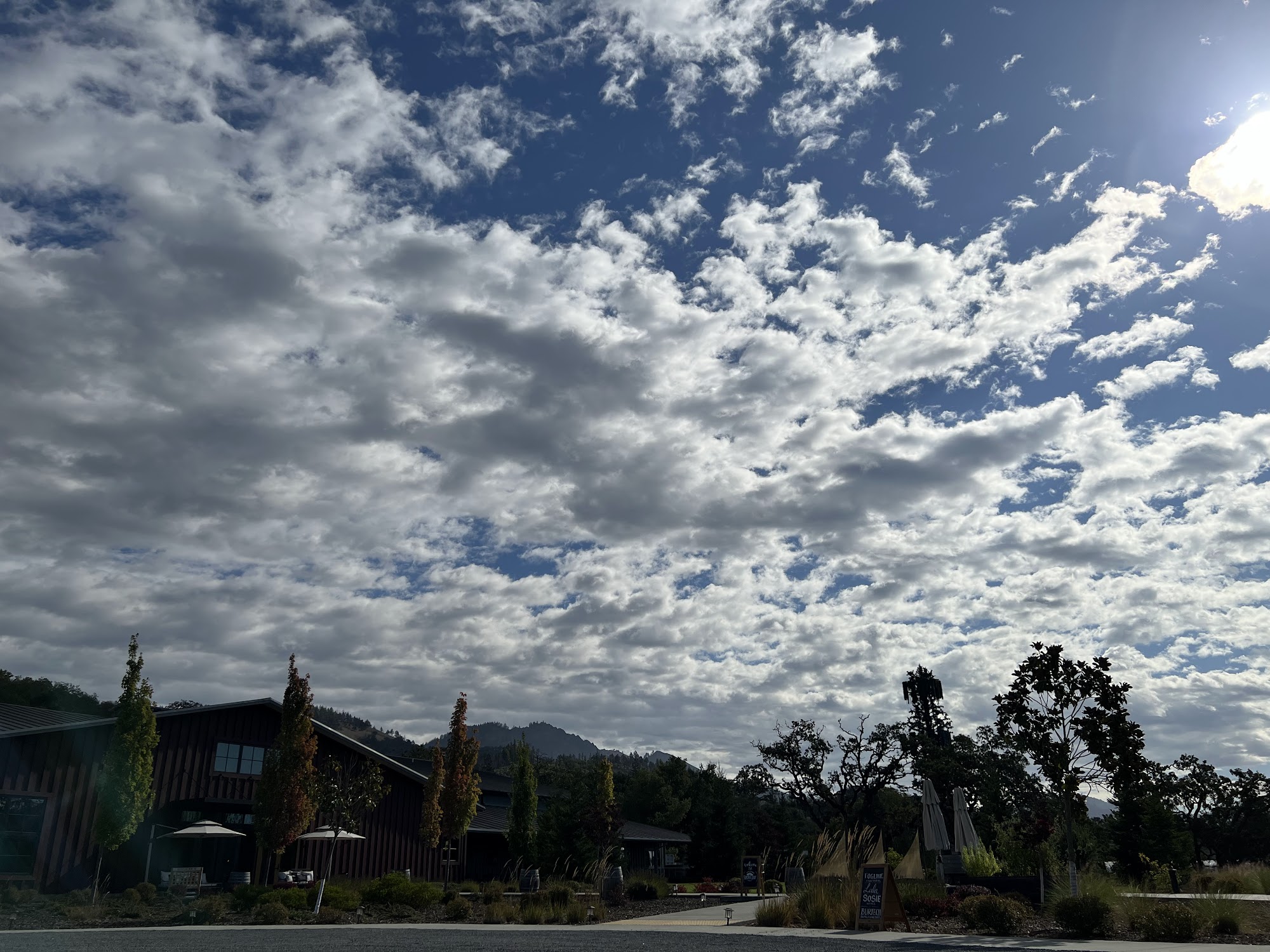 Sugarloaf Wine Co. Menu