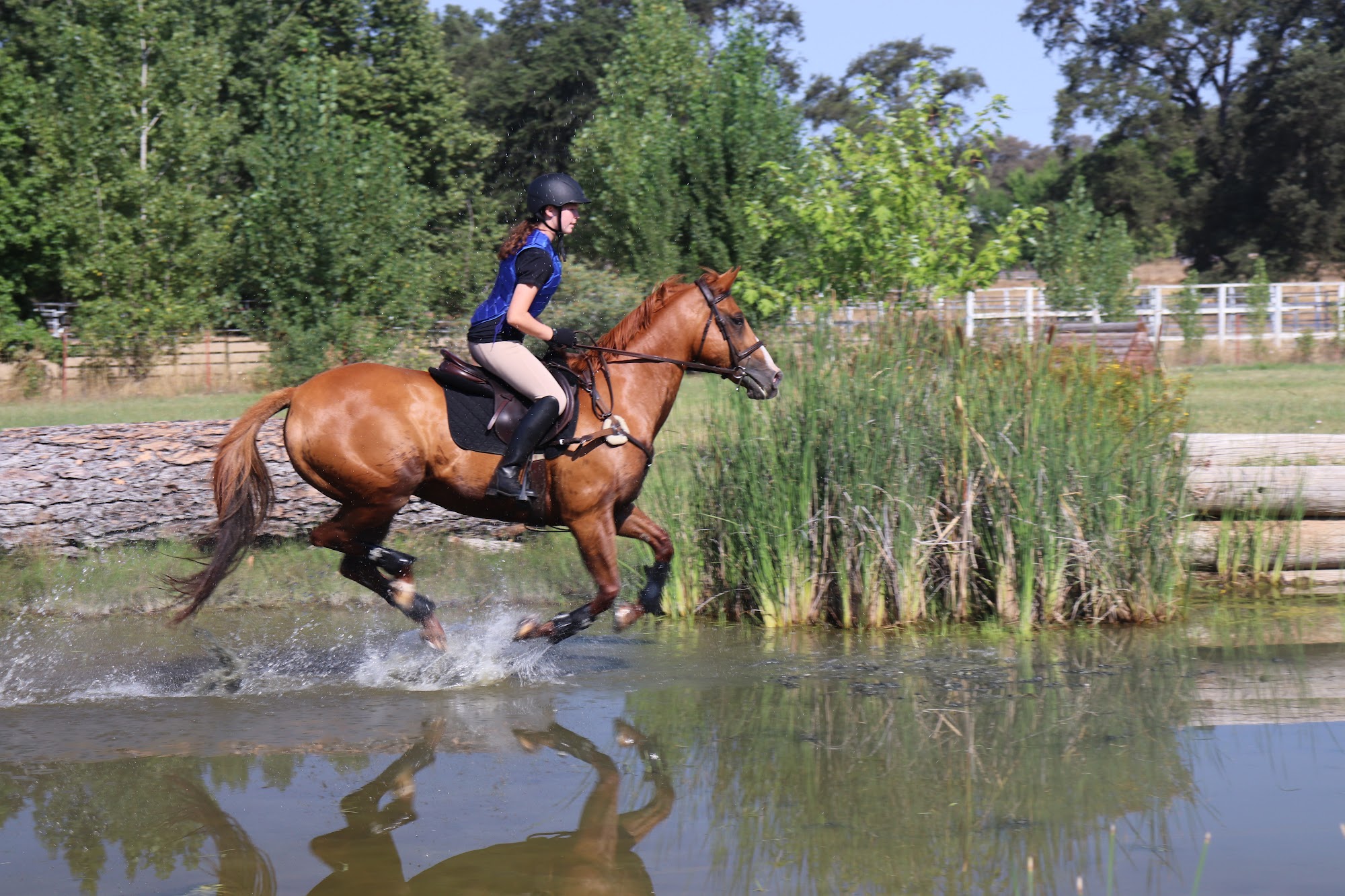 Empire Equine Hospital