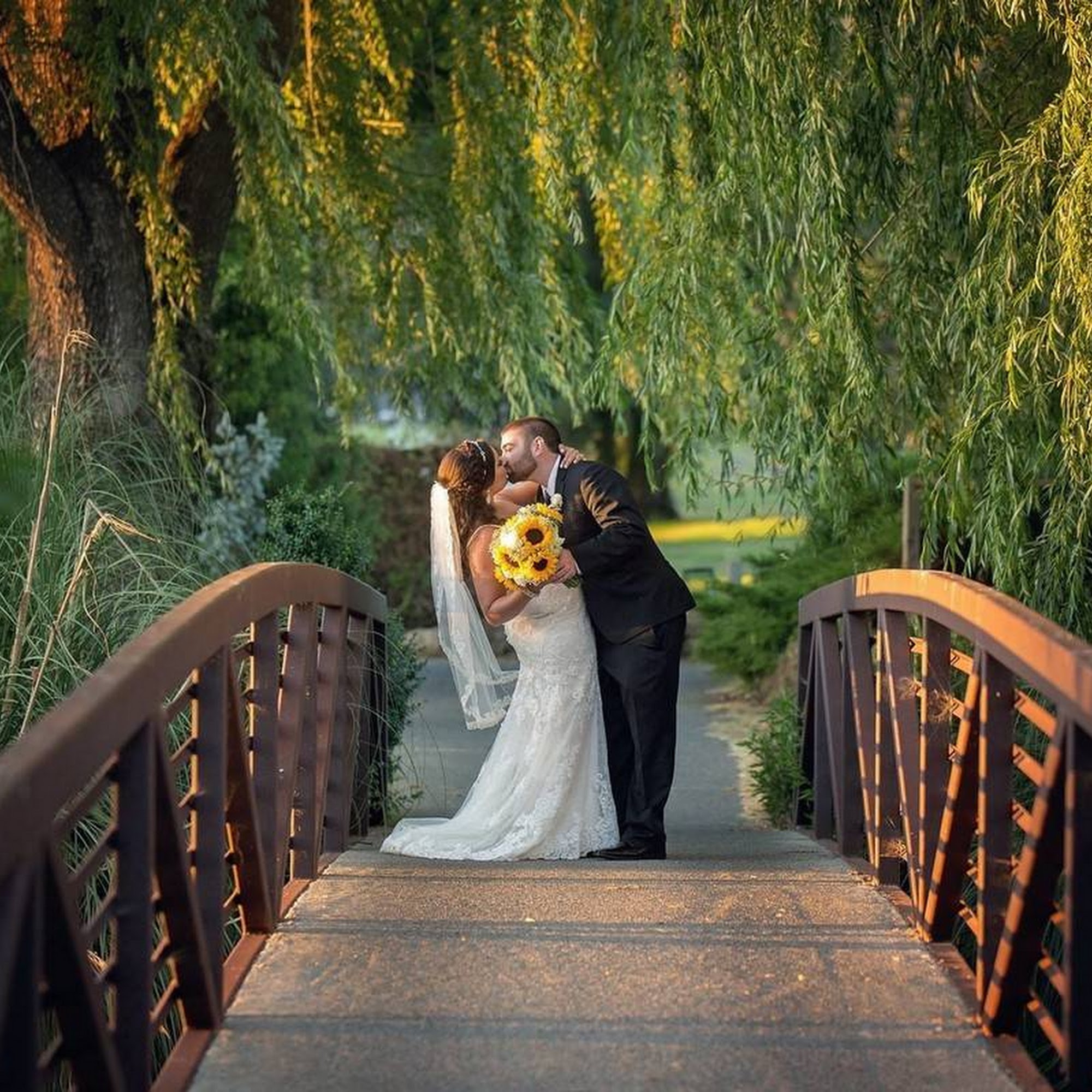 Fairview Valley of the Moon Santa Rosa