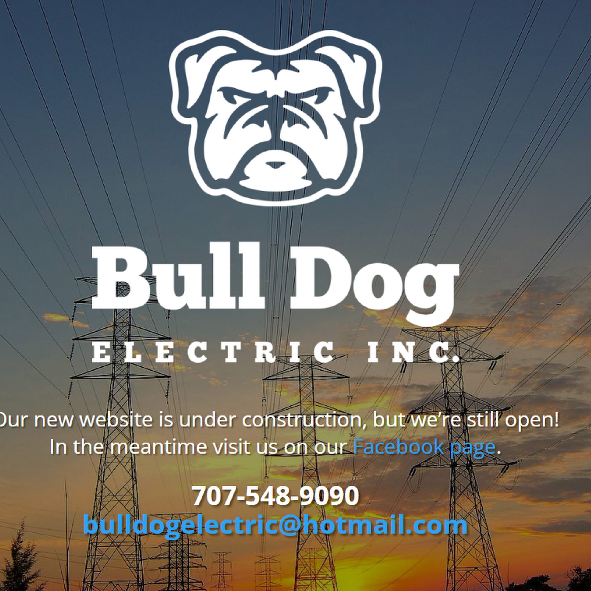 Bull Dog Electric Inc.