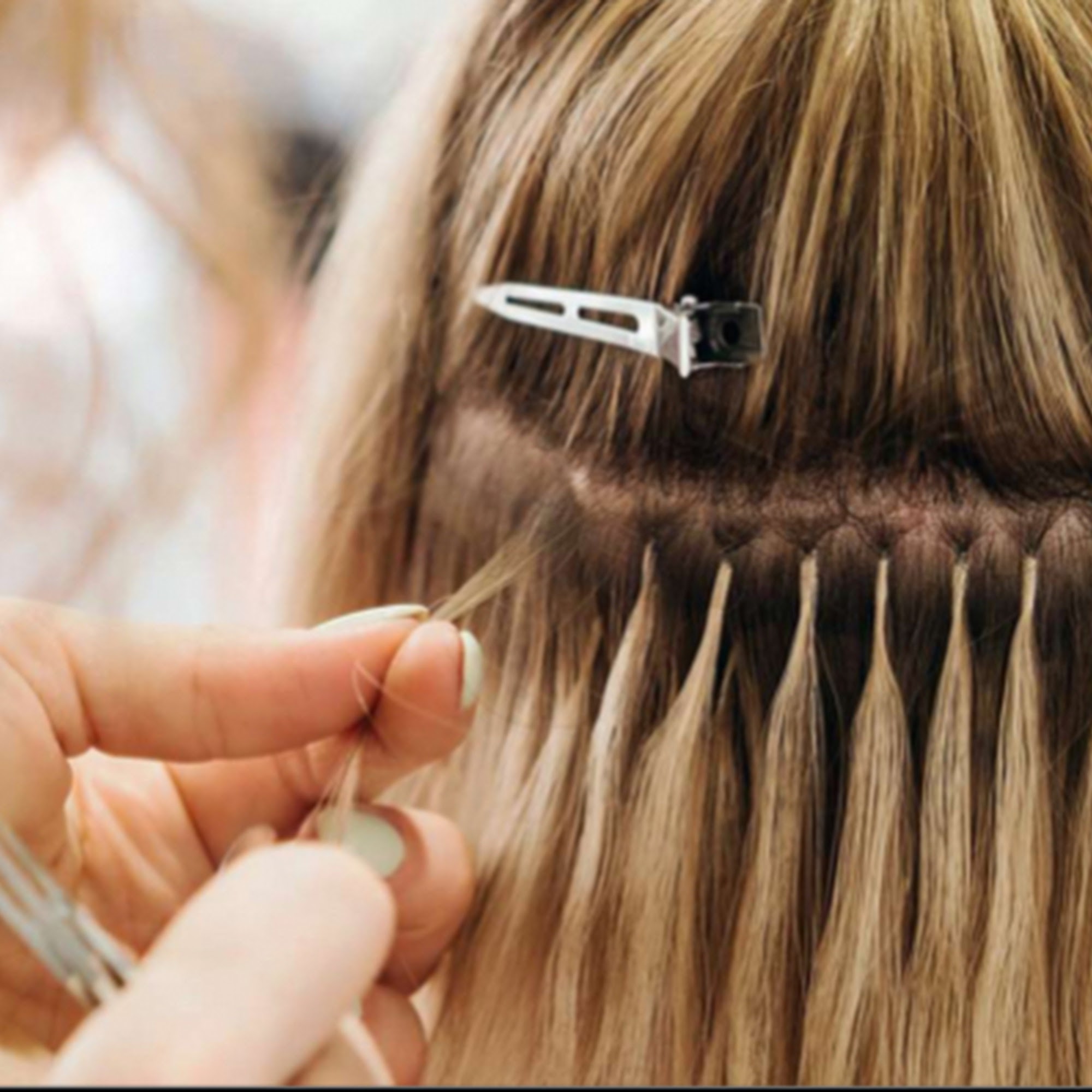 Salon Citrine 631 4th St, Santa Rosa California 95404