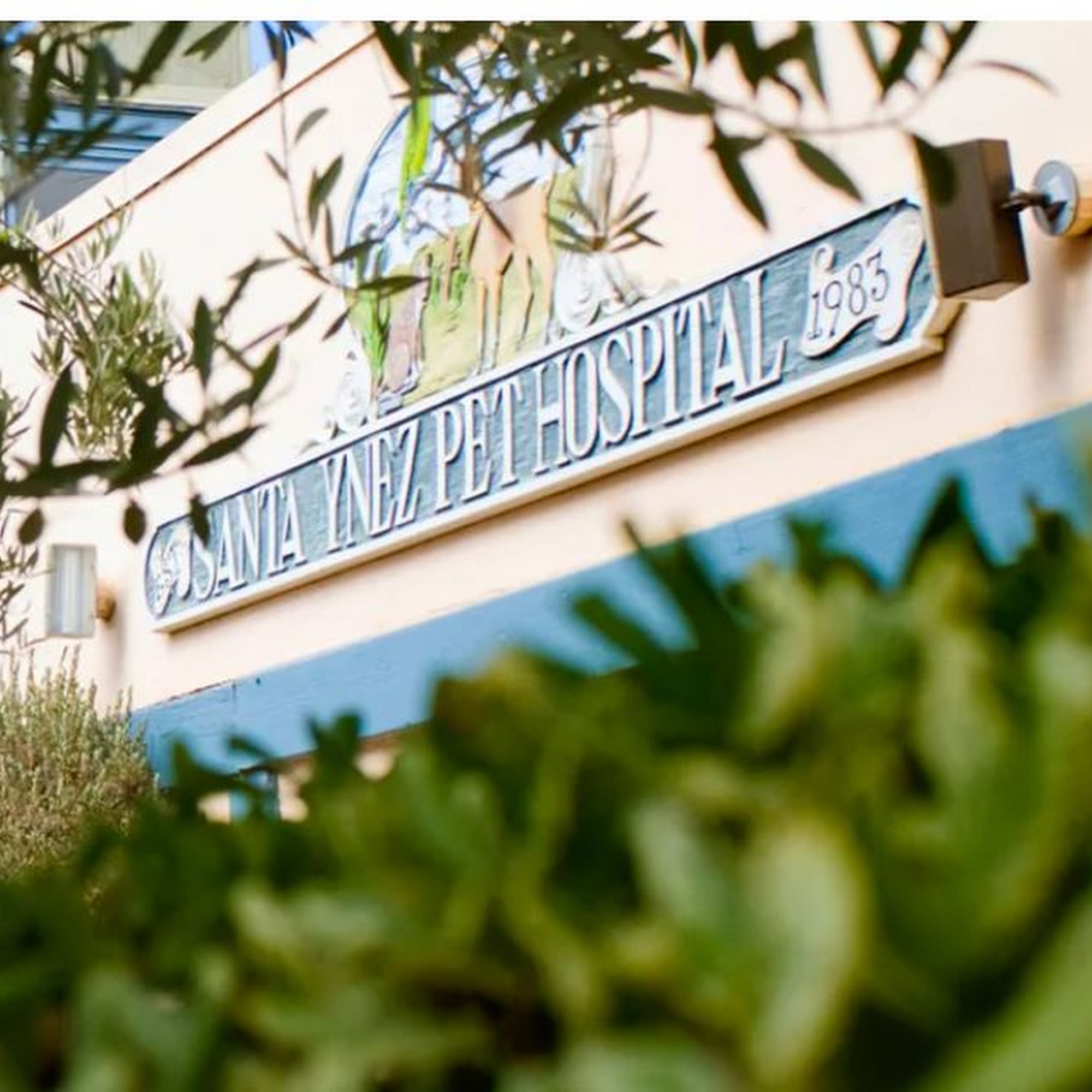 Santa Ynez Pet Hospital Santa Ynez