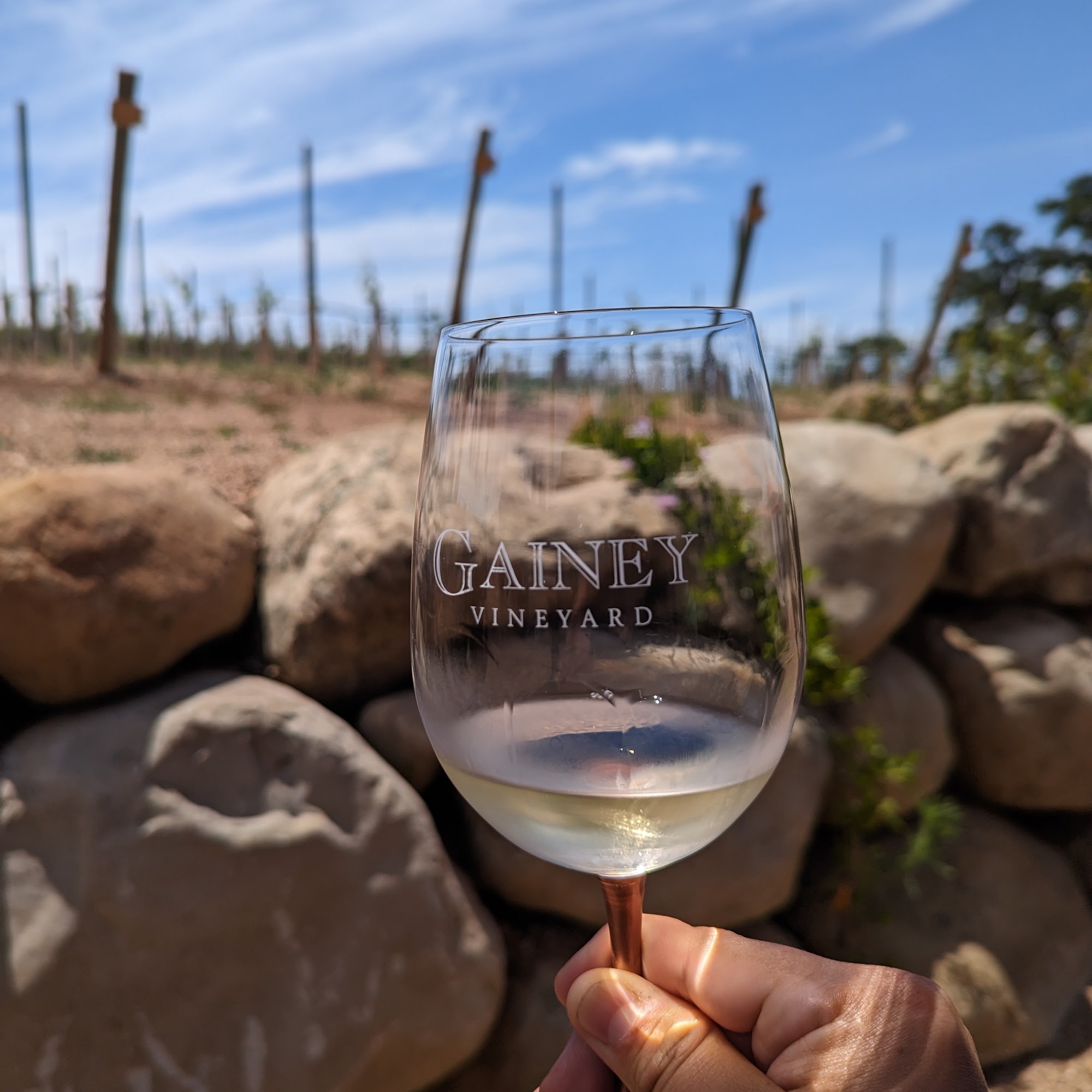 Gainey Estate Vineyards & Tasting Room Santa Ynez