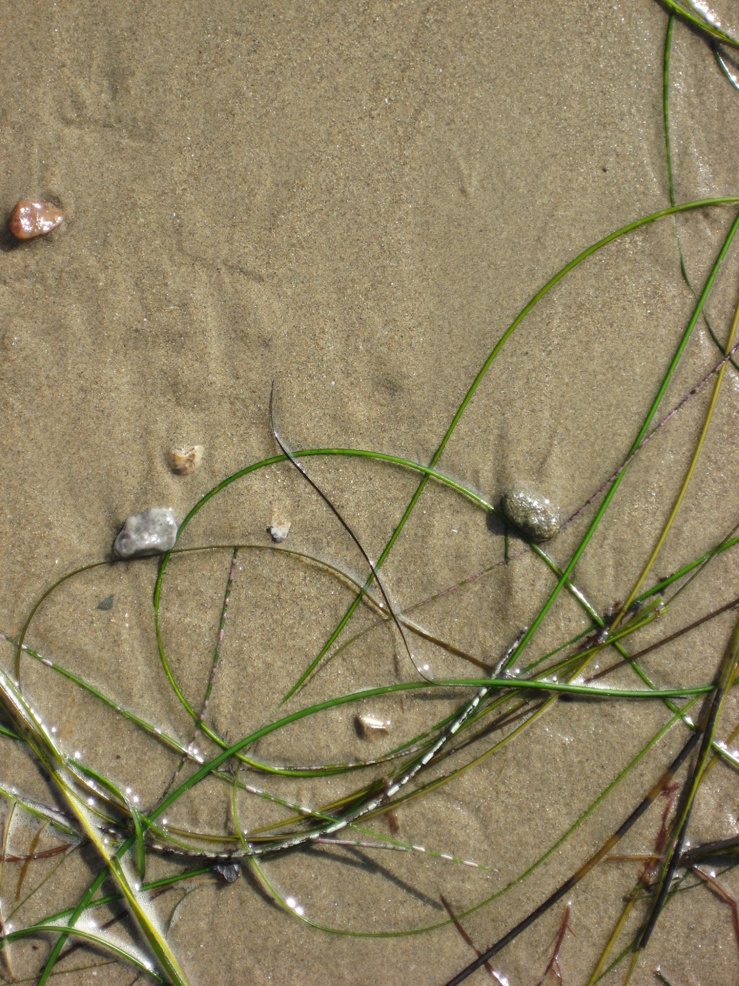 Insight Martial Arts 3595 Numancia St, Santa Ynez California 93460