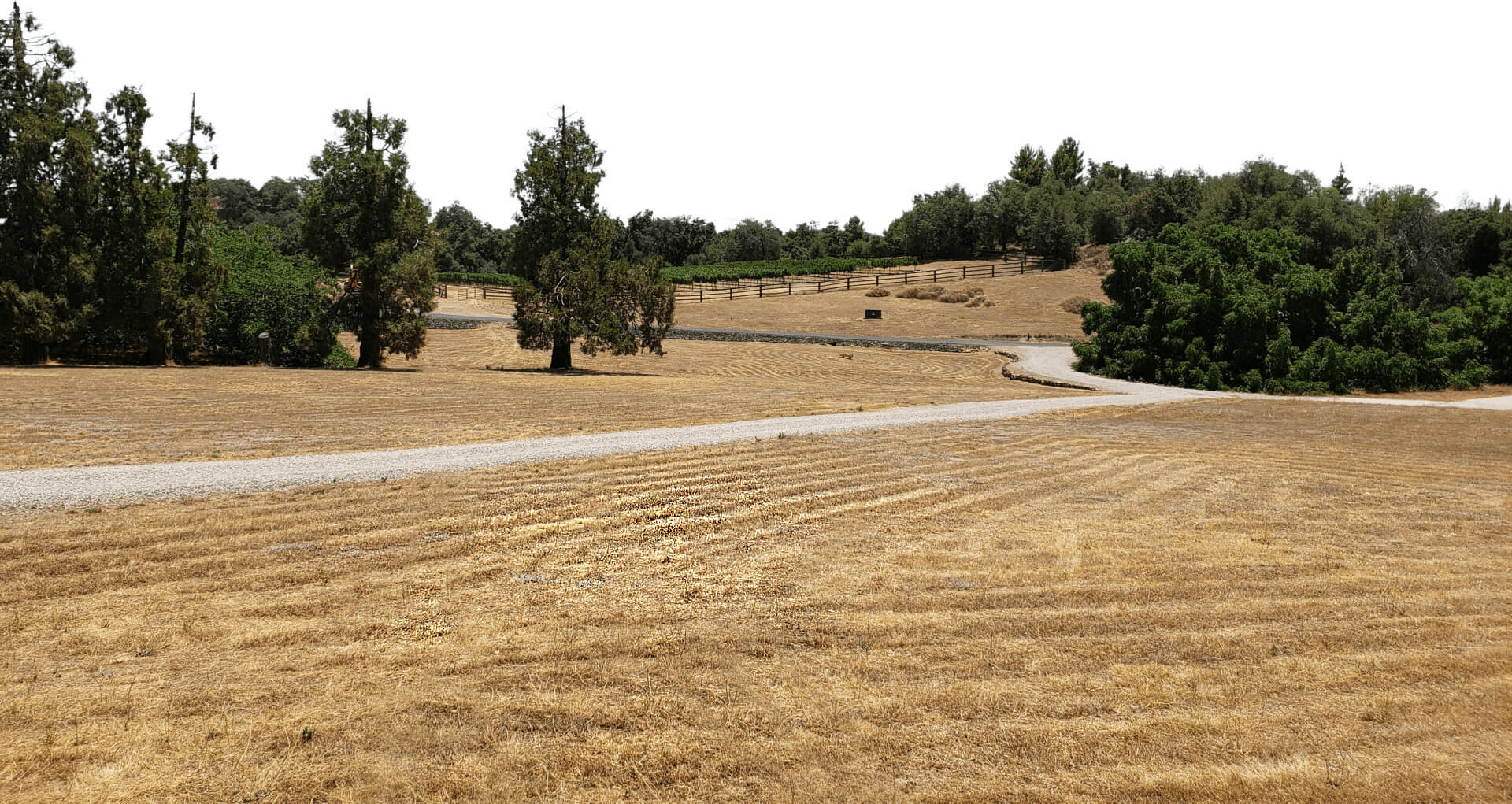 Walnut Tree Ranch Vineyard and Winery Santa Ysabel