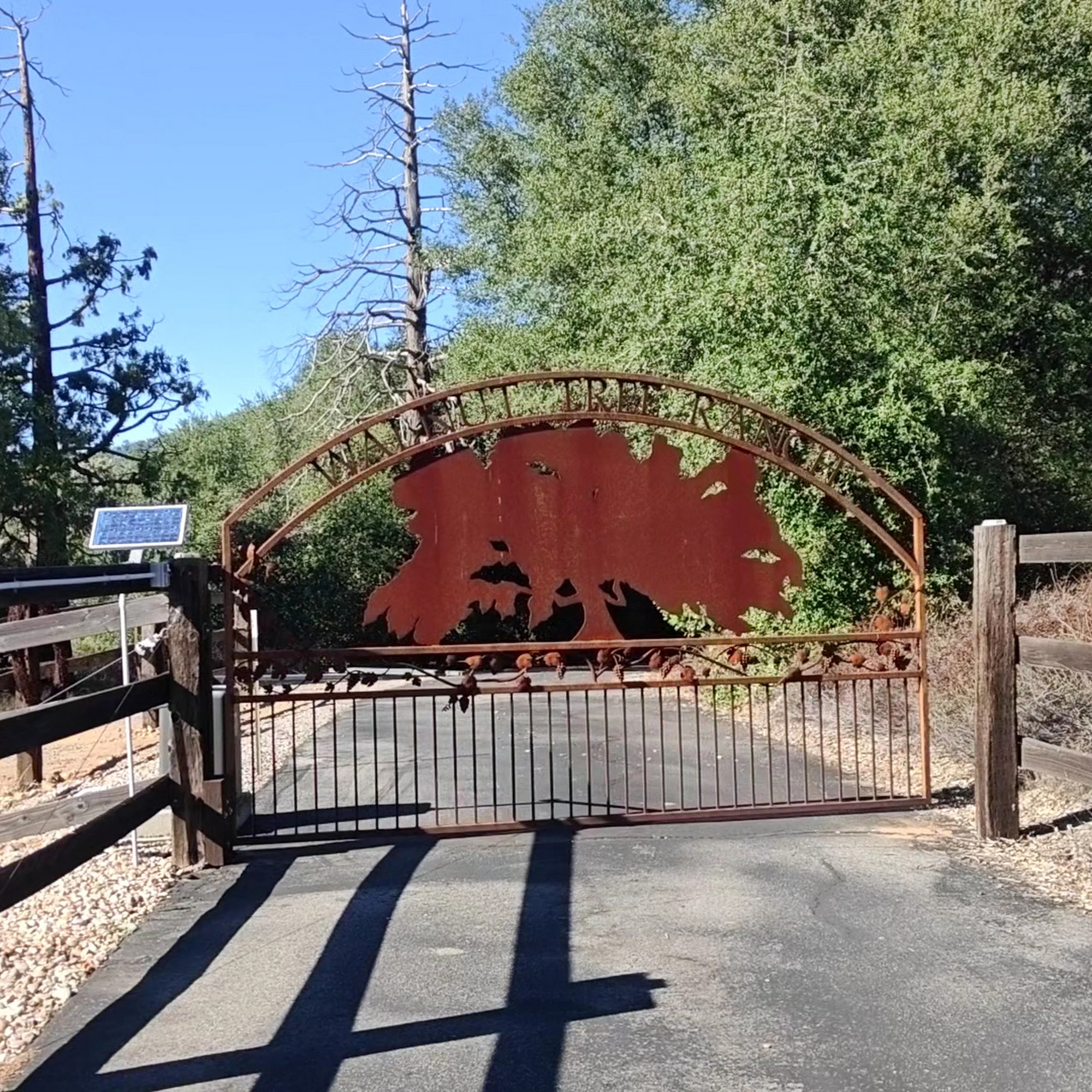 Walnut Tree Ranch Vineyard and Winery Santa Ysabel