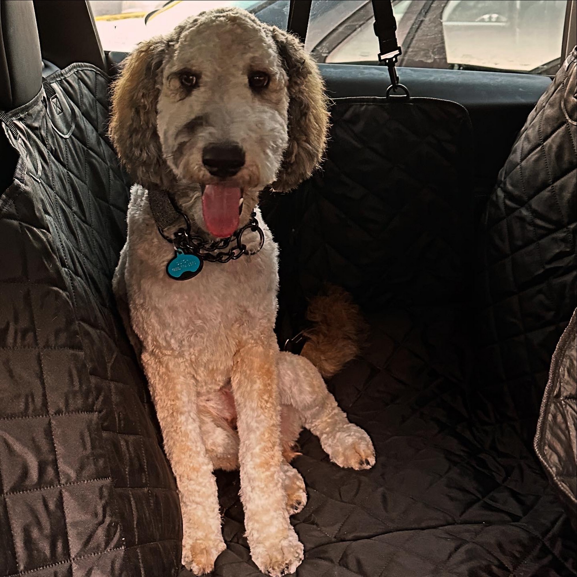 FURology Pet SPaw Inc. Santee