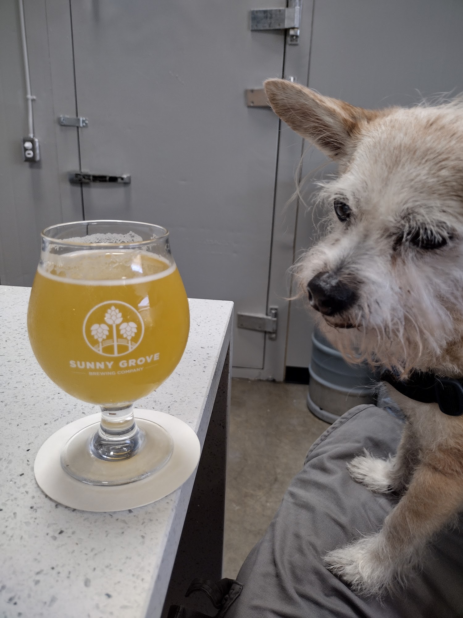 Sunny Grove Brewing Company Santee