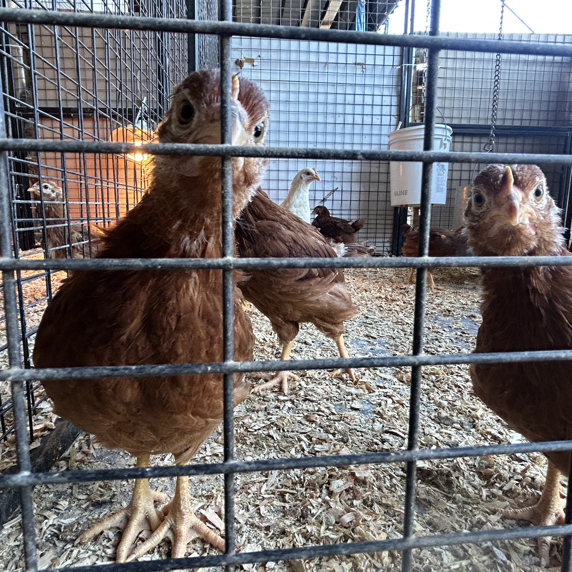 Hawthorne Country Store Santee Santee