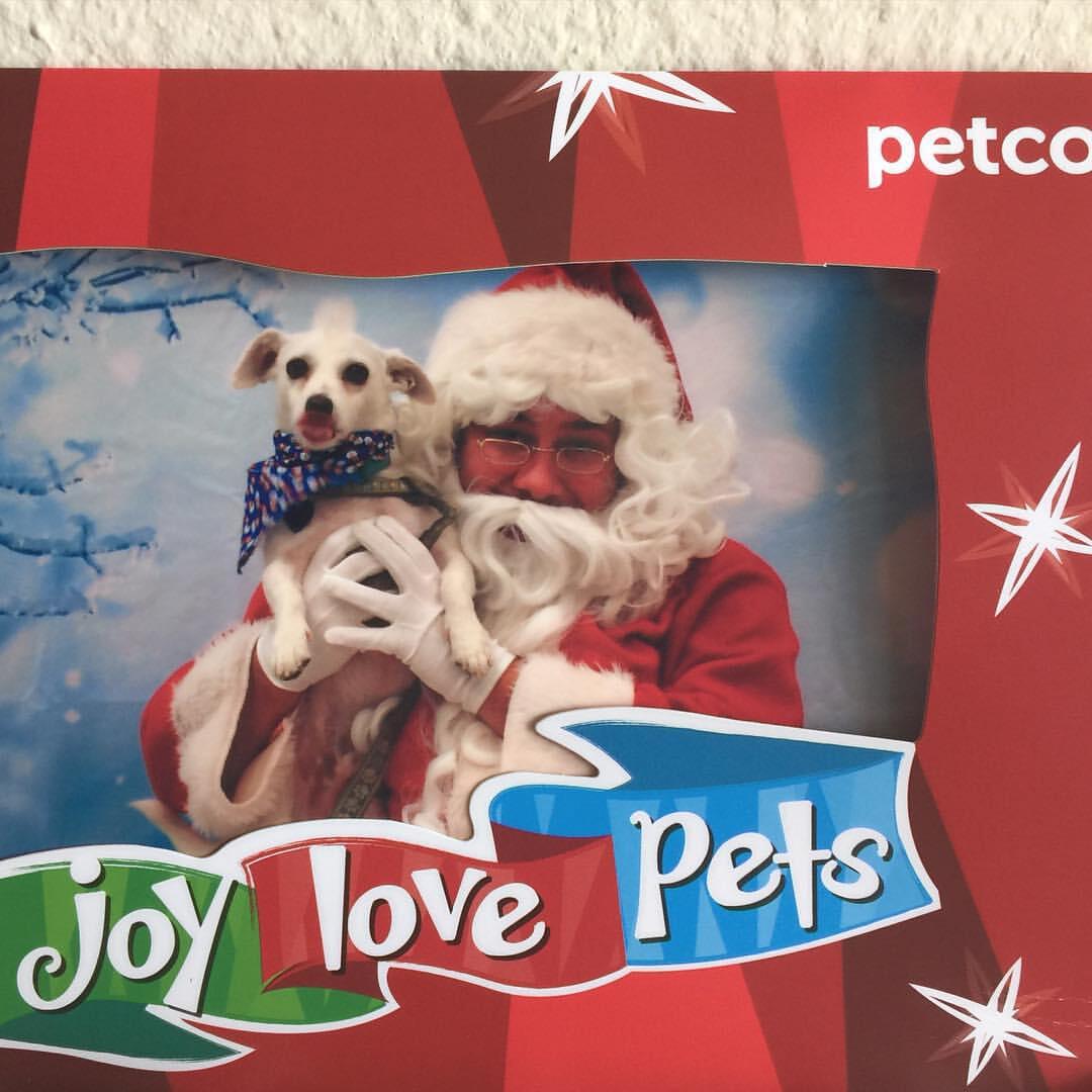 Petco Saugus