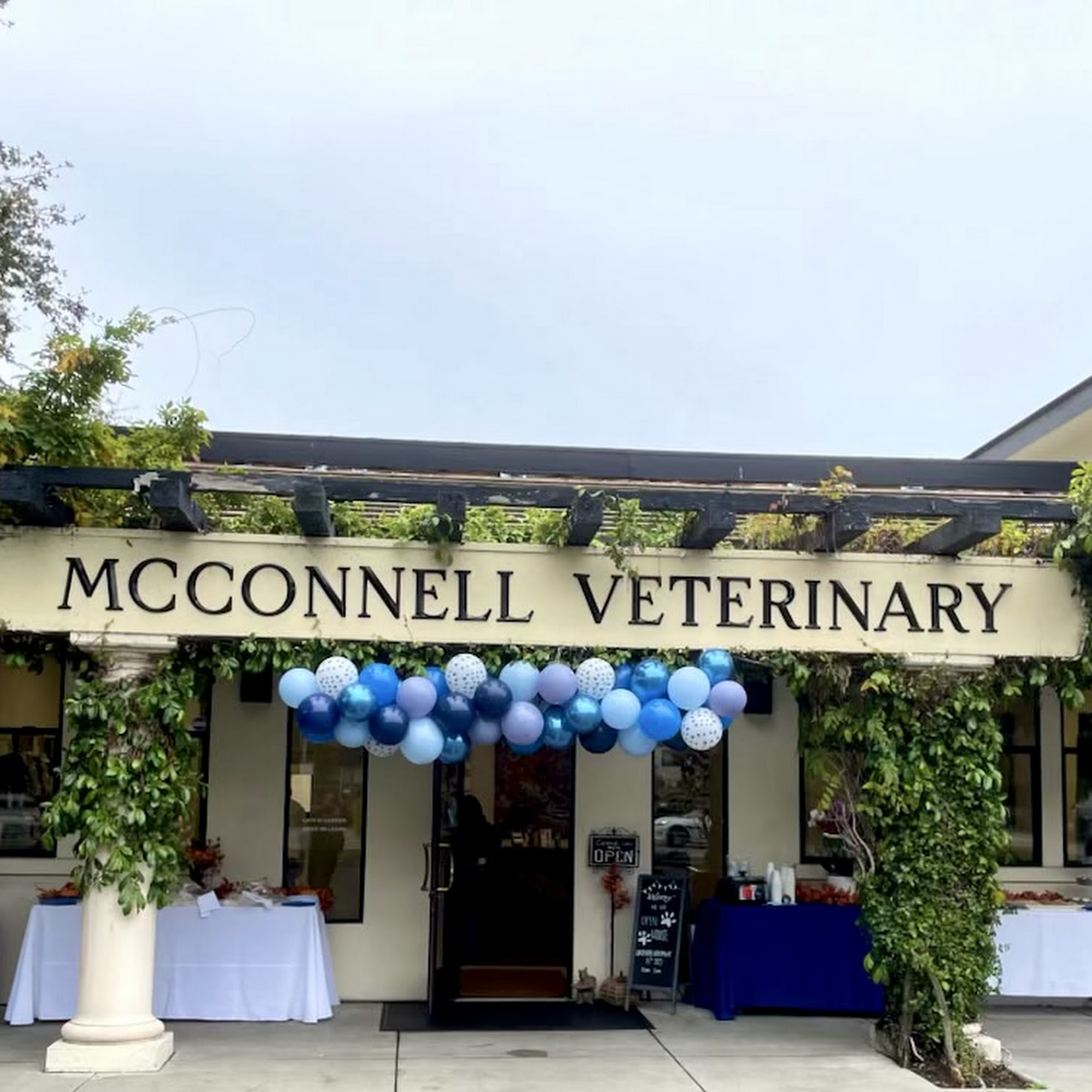 McConnell Veterinary Services Scotts Valley